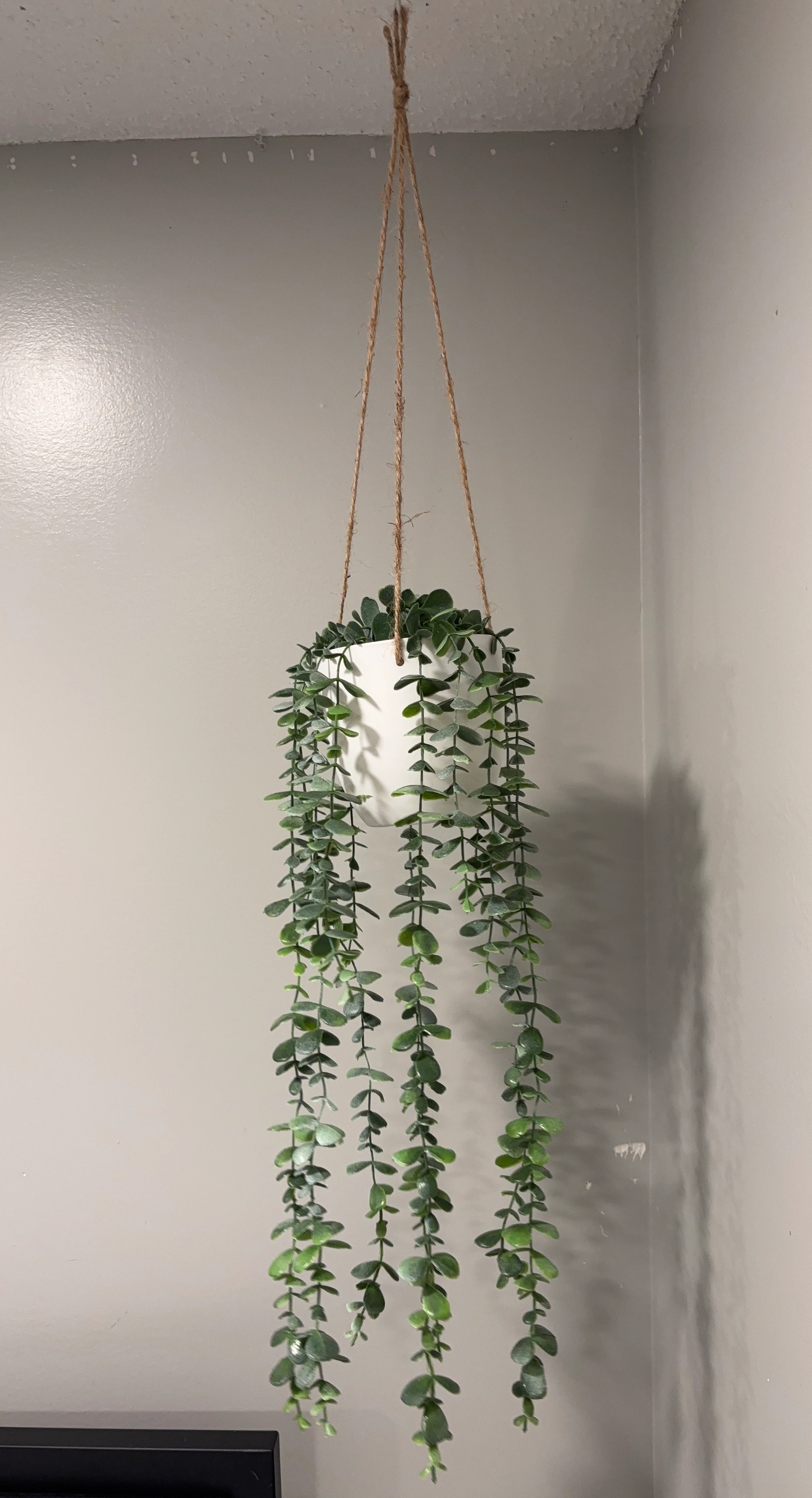 Artificial Hanging Trailing Plant