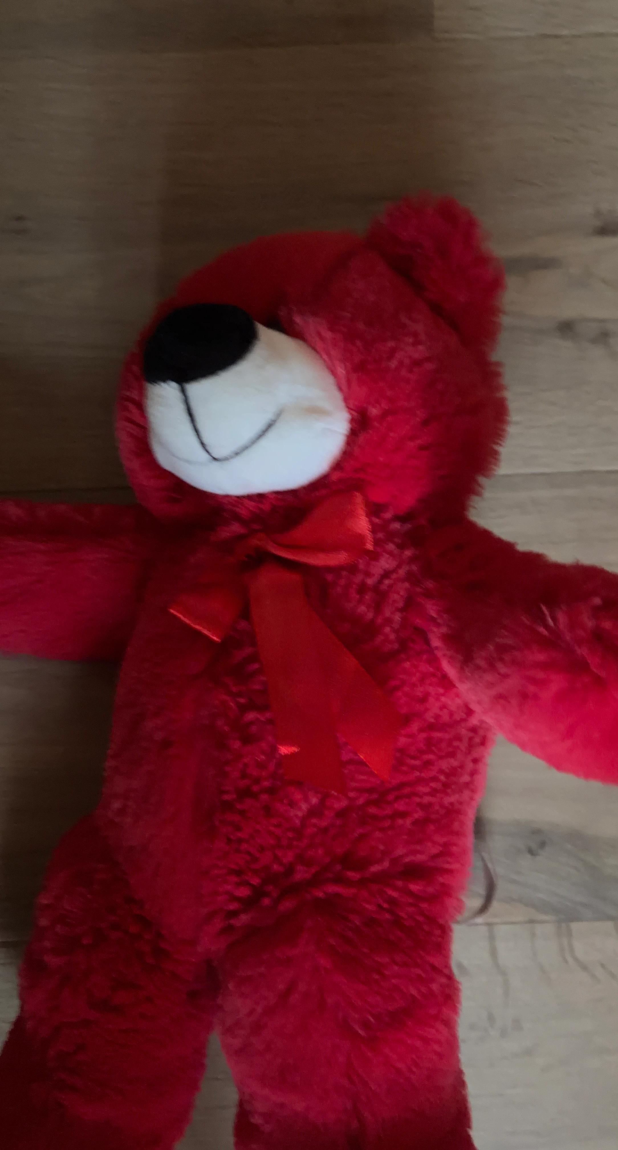 Red Plush Teddy Bear