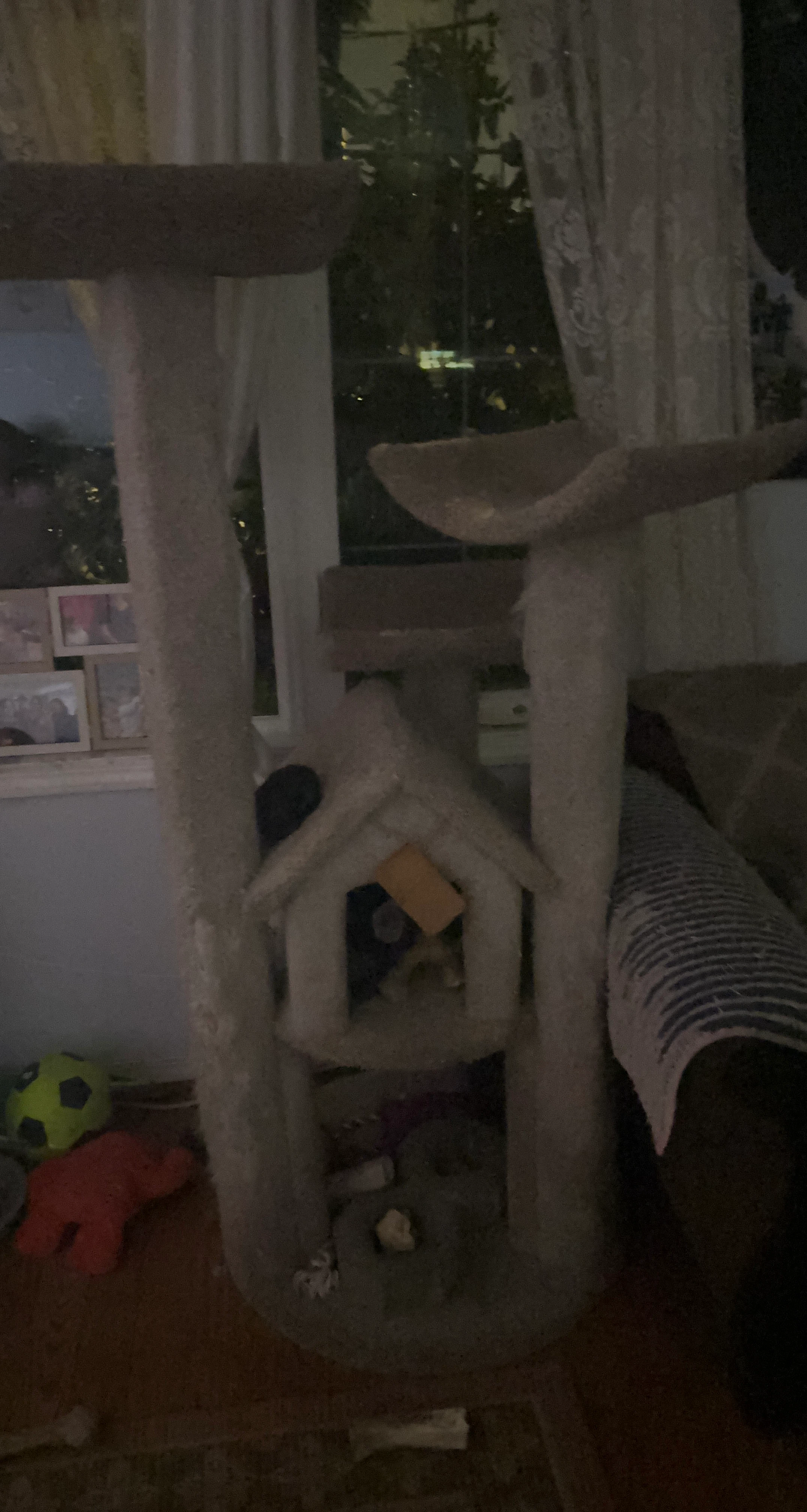 Cat Tree Condo