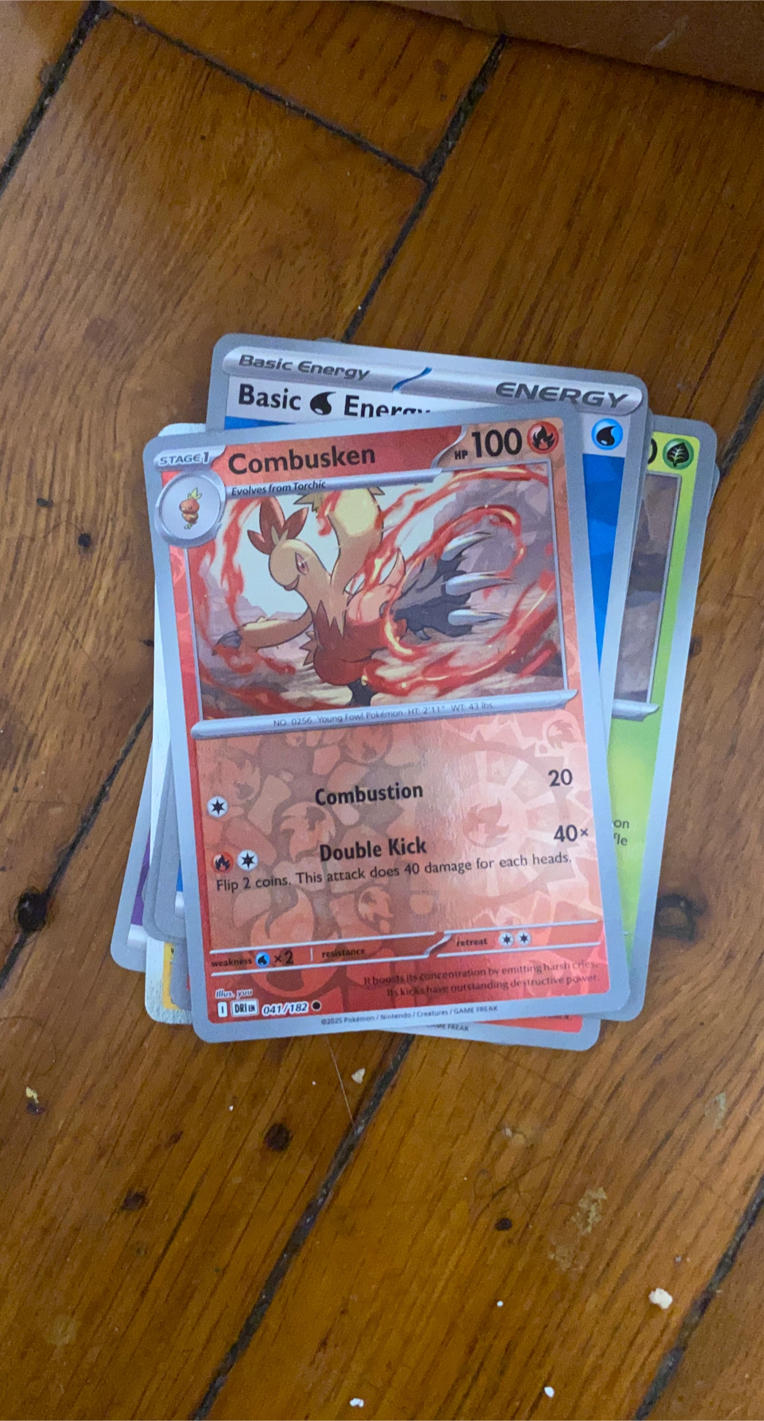 Pokemon TCG Combusken Card 041/182