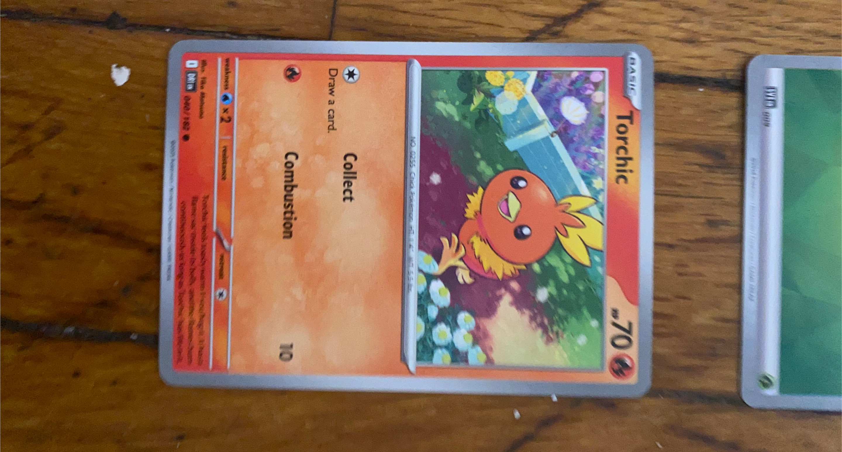 Pokemon Torchic Card 040/192