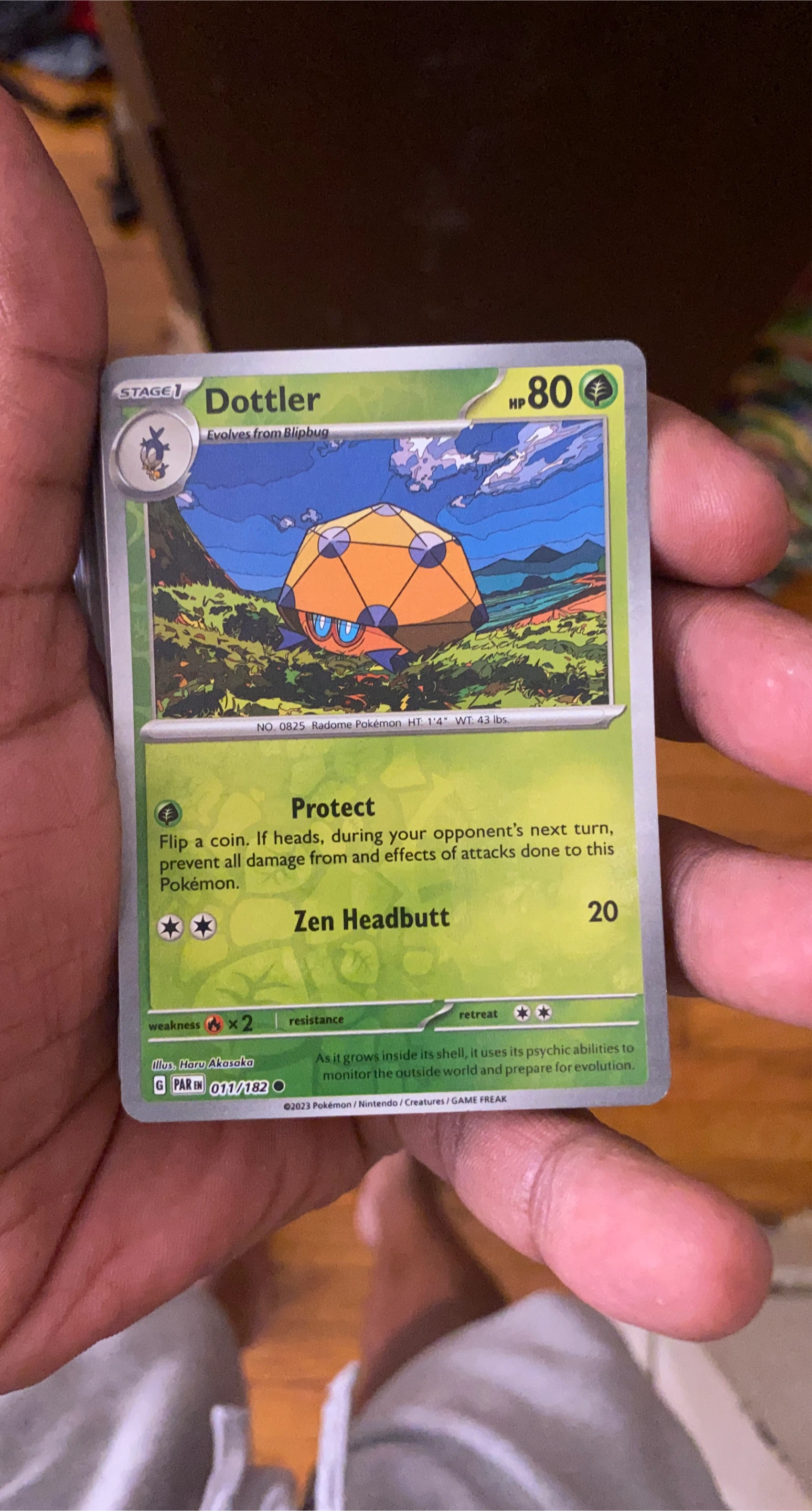 Dottler Pokémon Trading Card