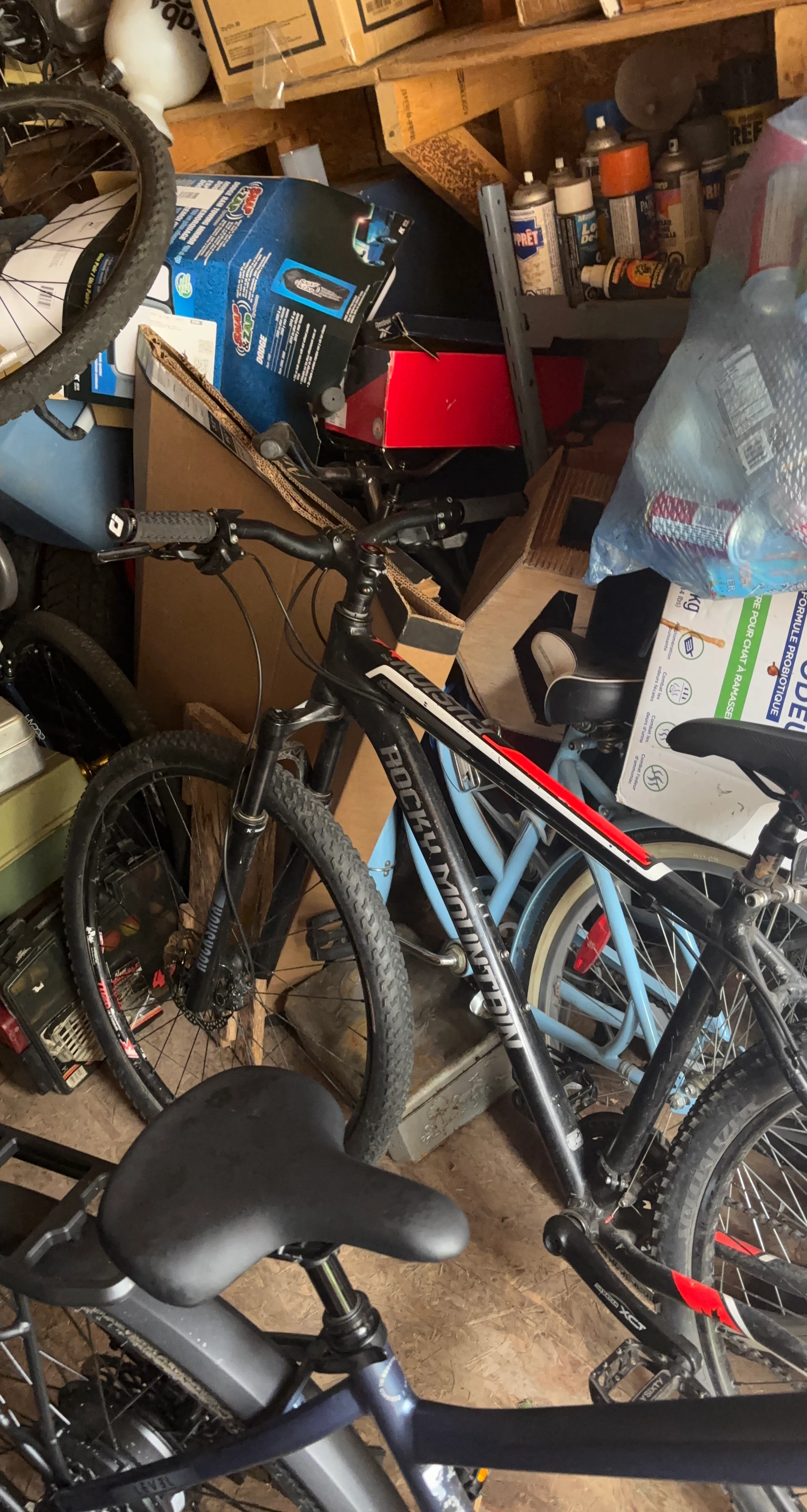 Rocky Mountain Bike