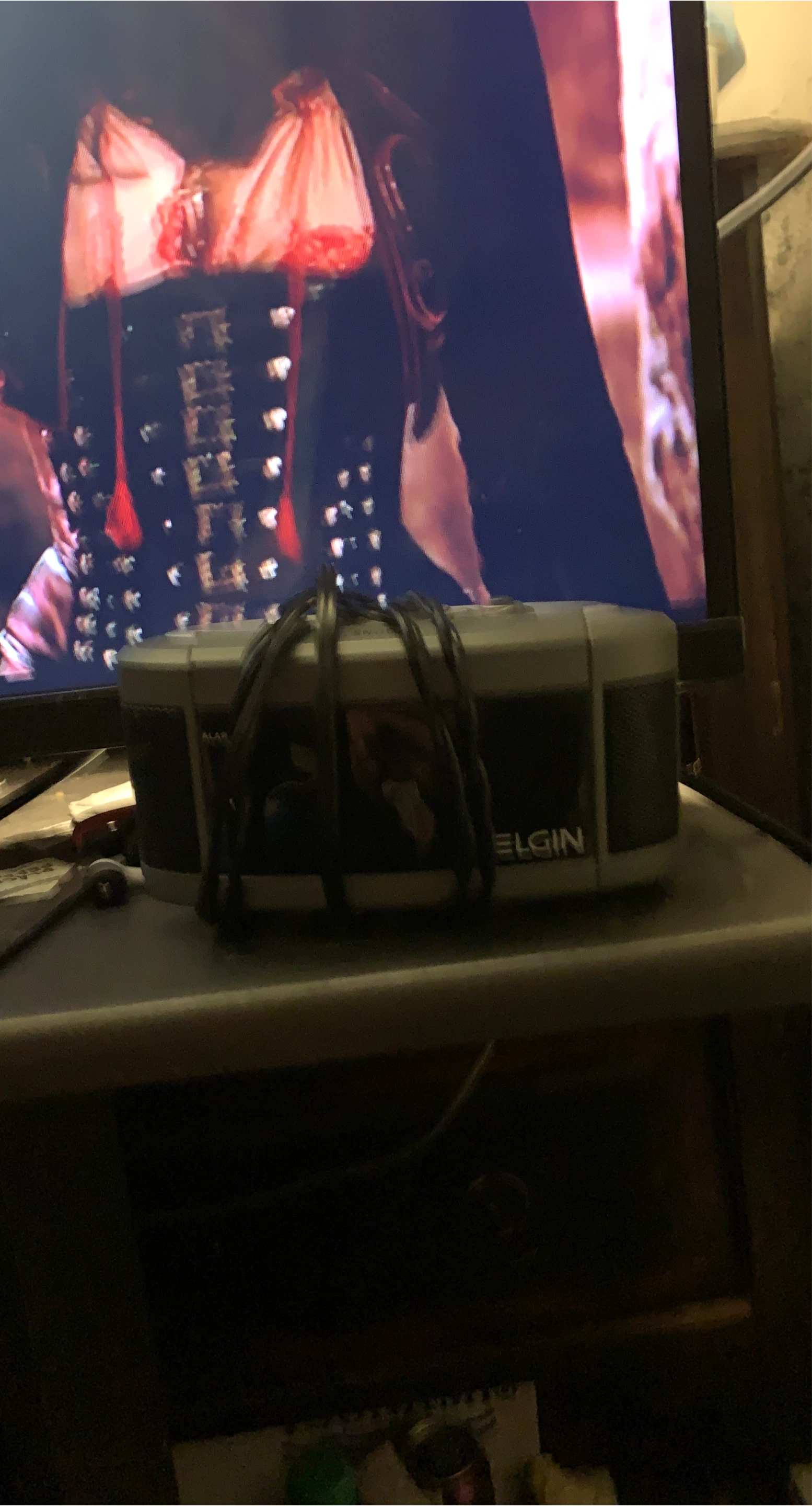 Elgin Portable AM/FM Radio