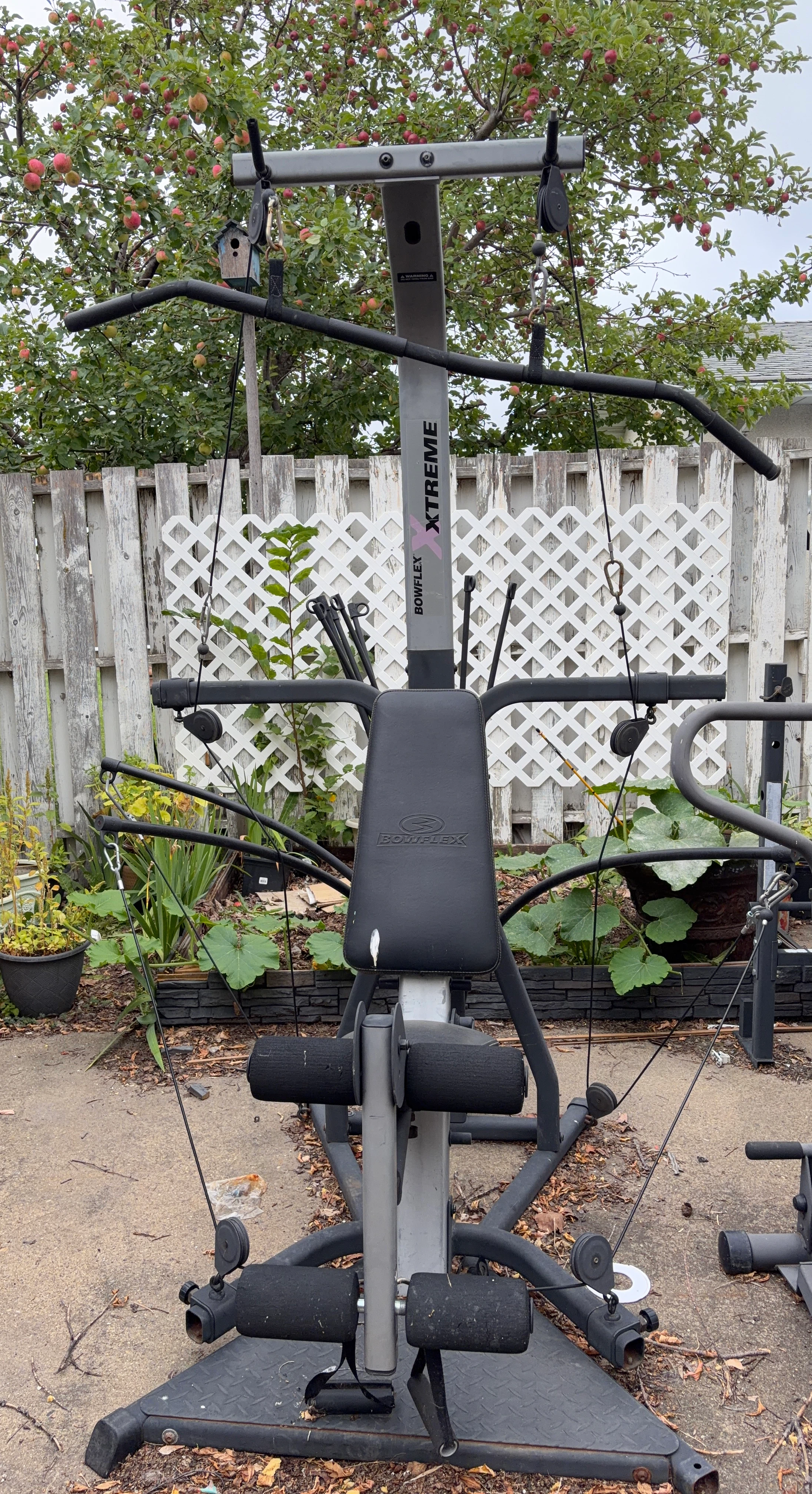 Bowflex Xtreme Home Gym