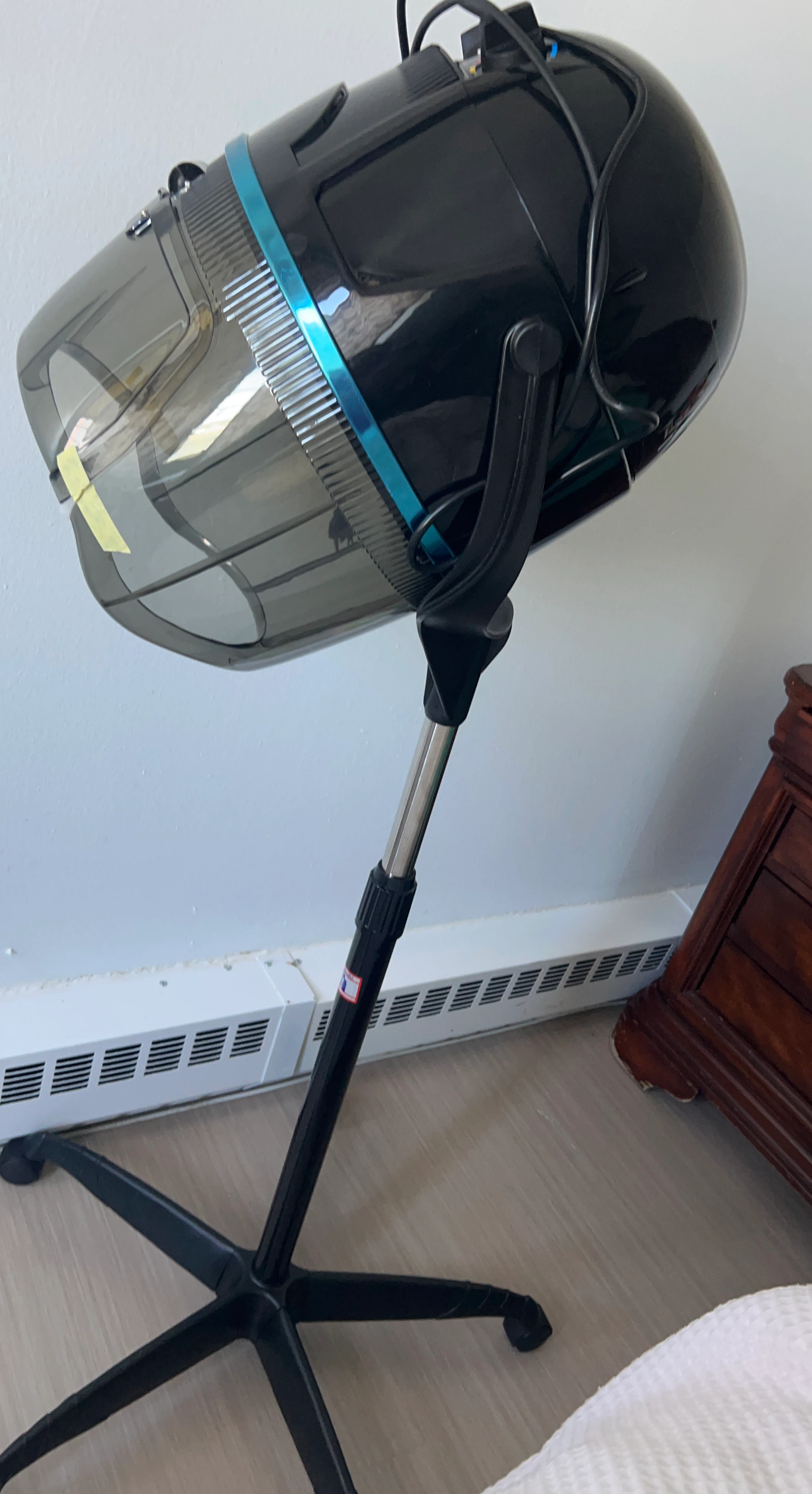 Professional Salon Hooded Hair Dryer