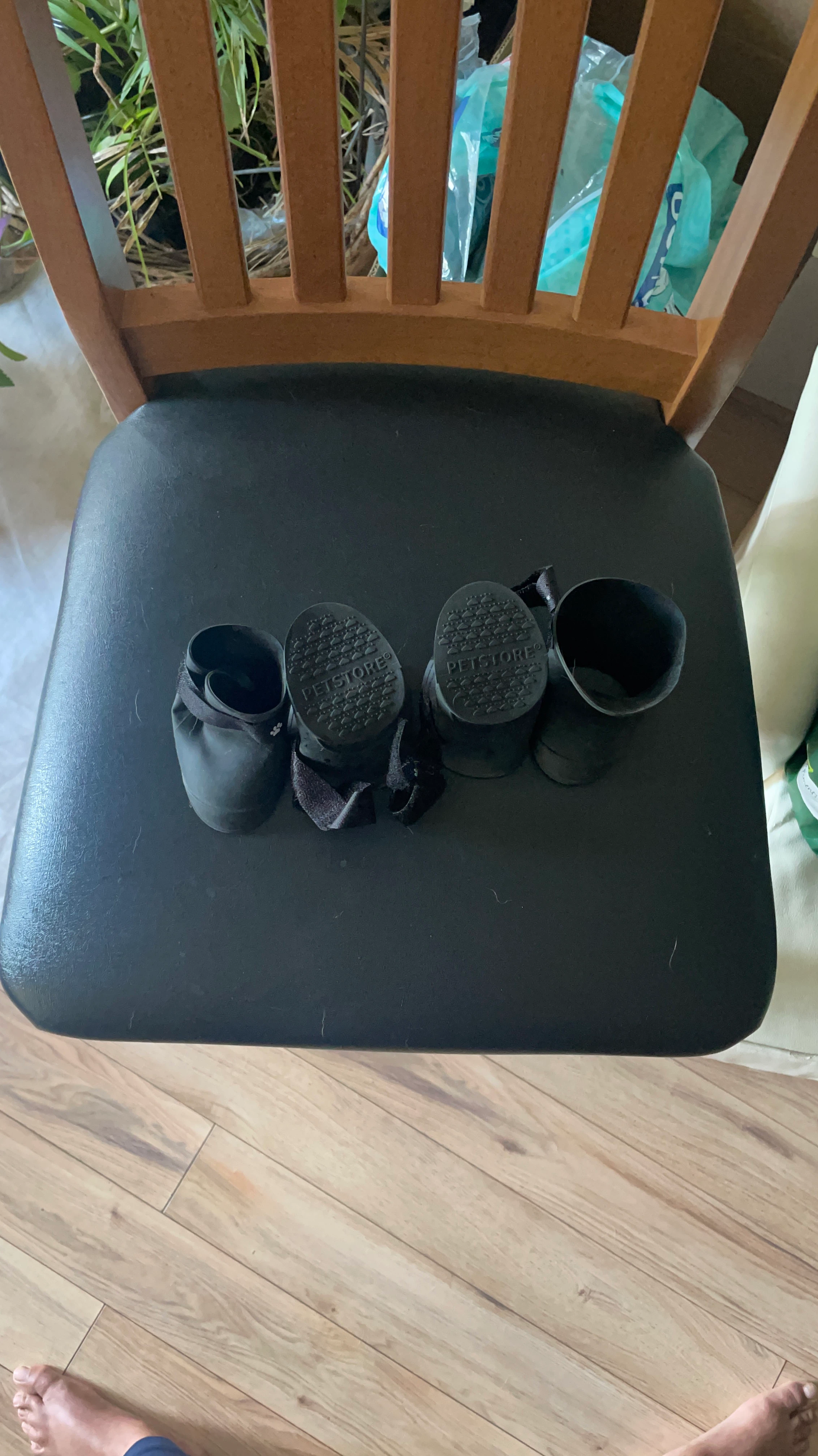 Petstore medium size Dog Boots - photo 2