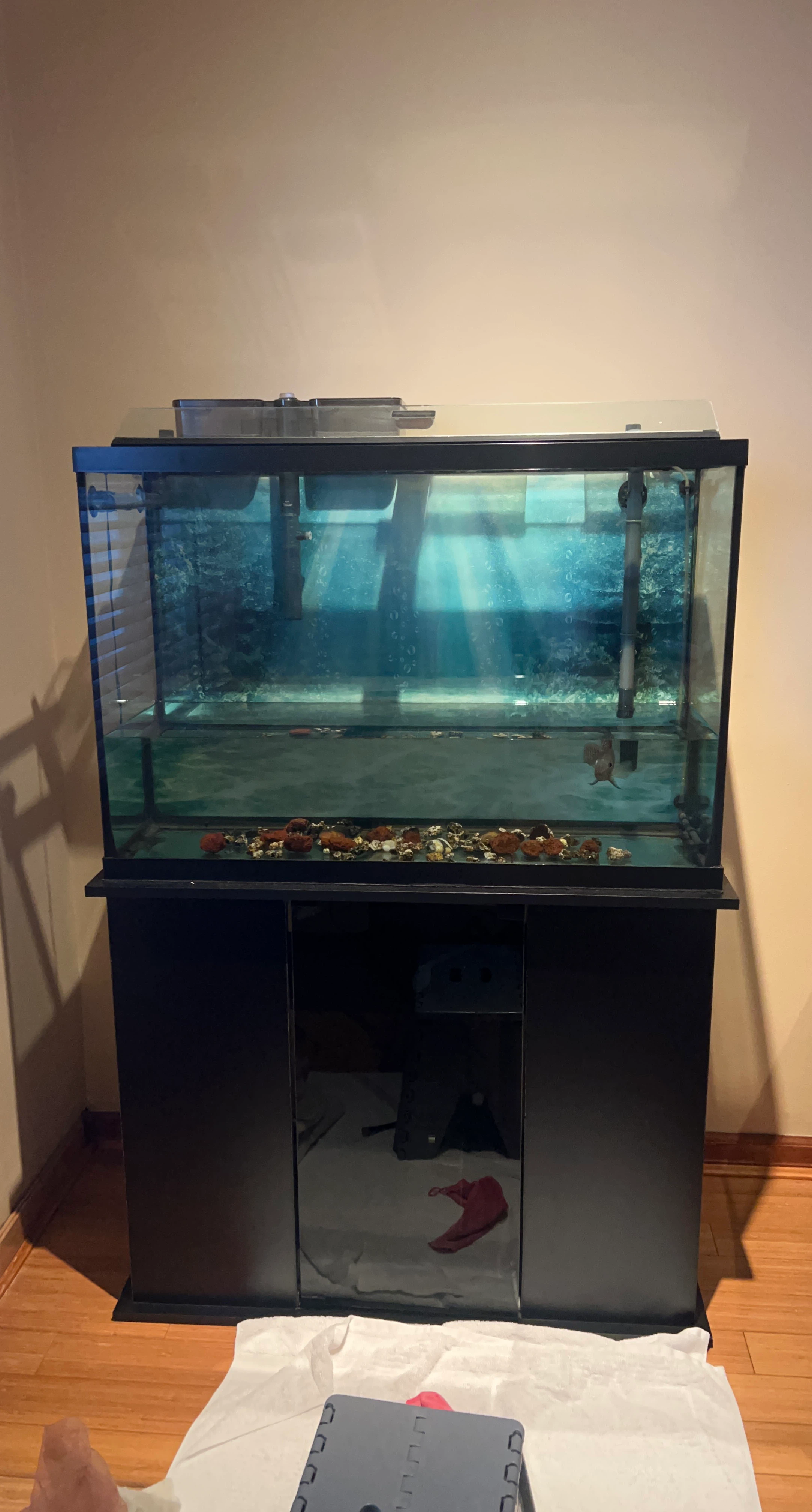 Black Aquarium Tank with Stand