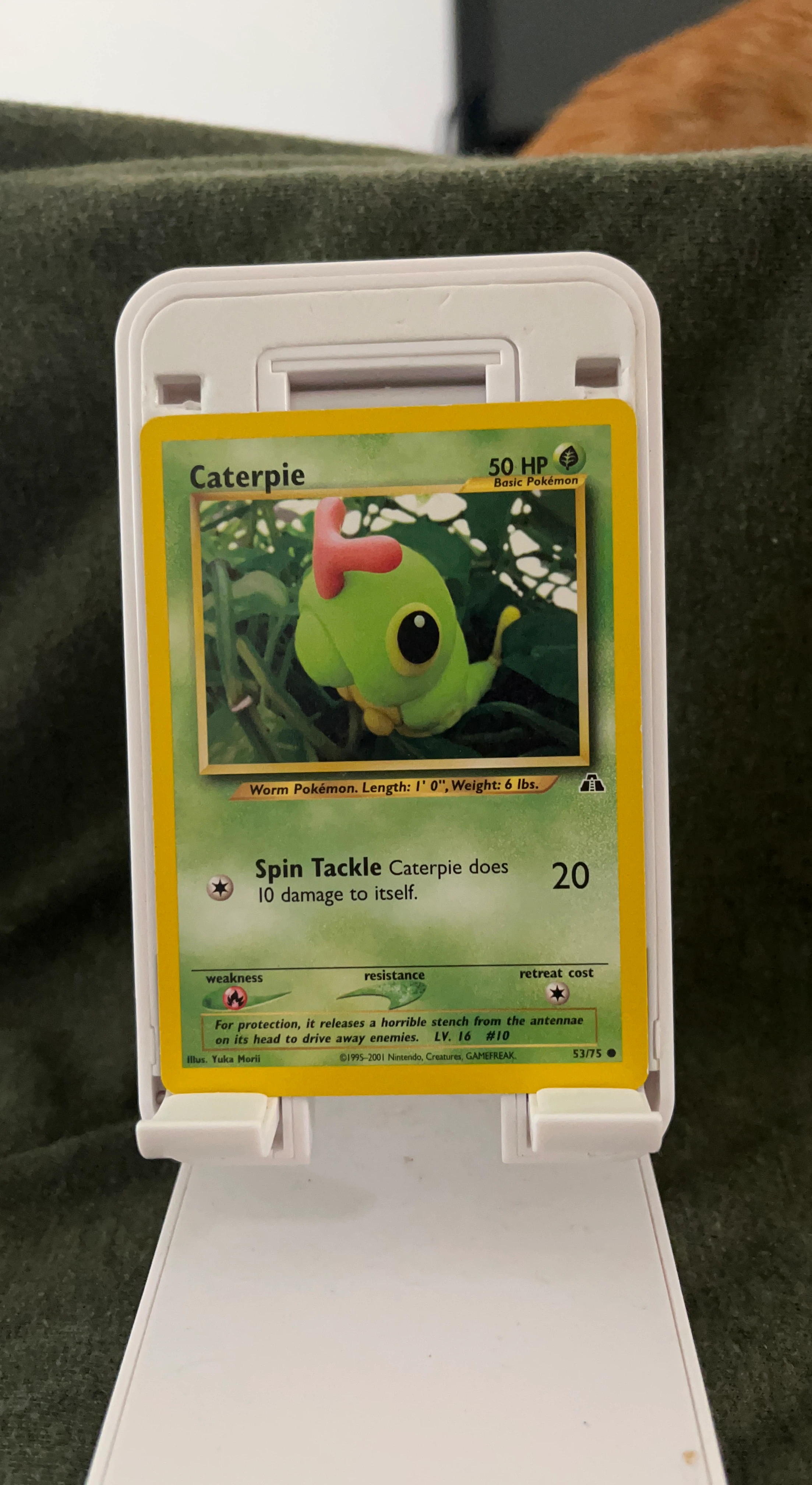 Caterpie Pokemon TCG Yuka Morii