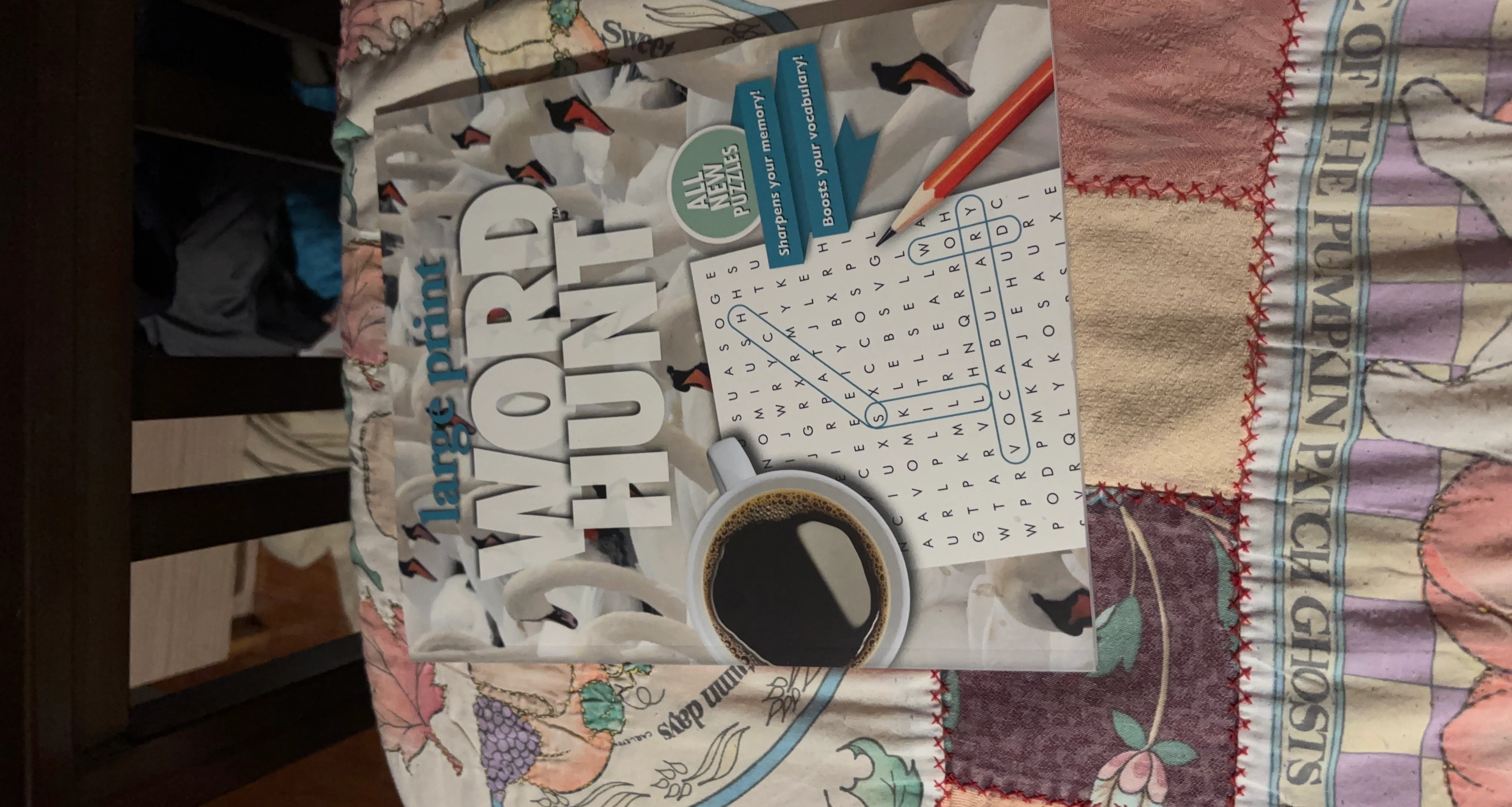 Large Print Word Hunt Puzzle Book