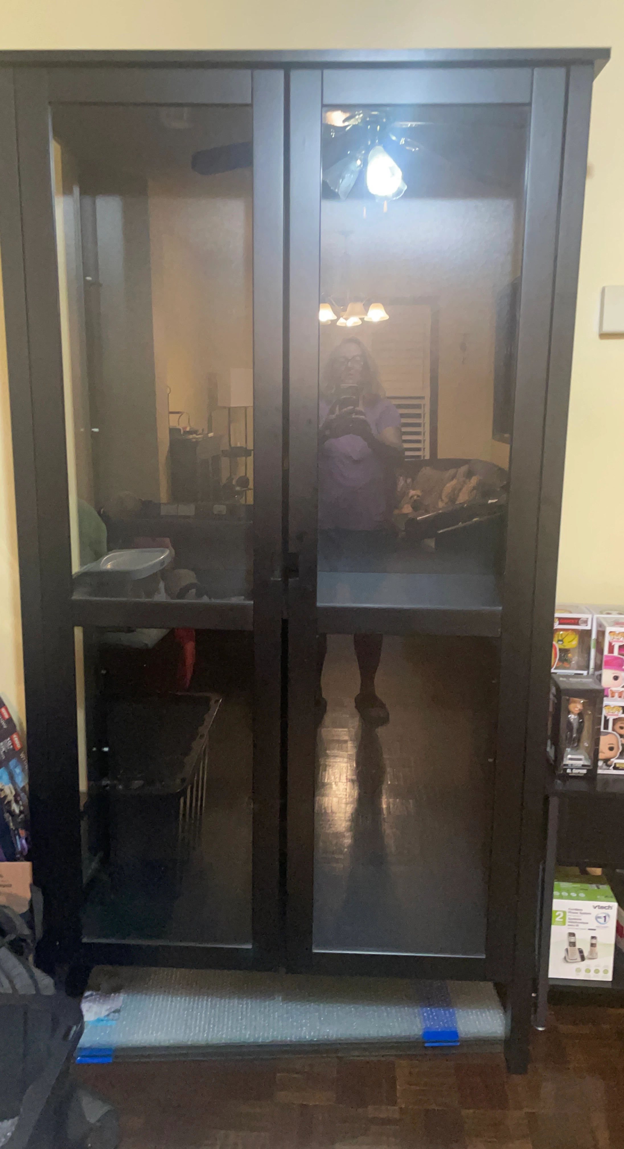IKEA Black Glass Door Cabinet