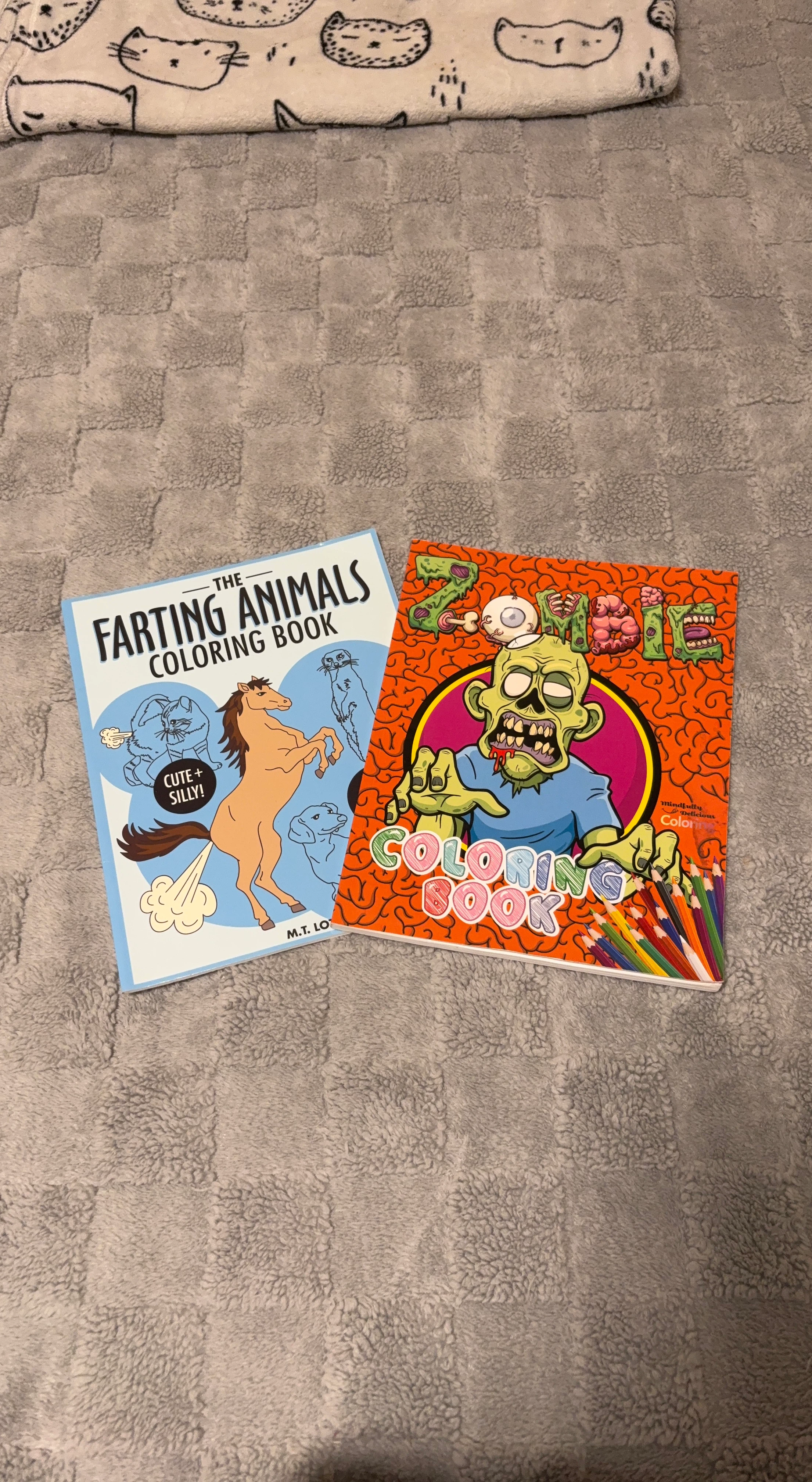 Set of Two Coloring Books