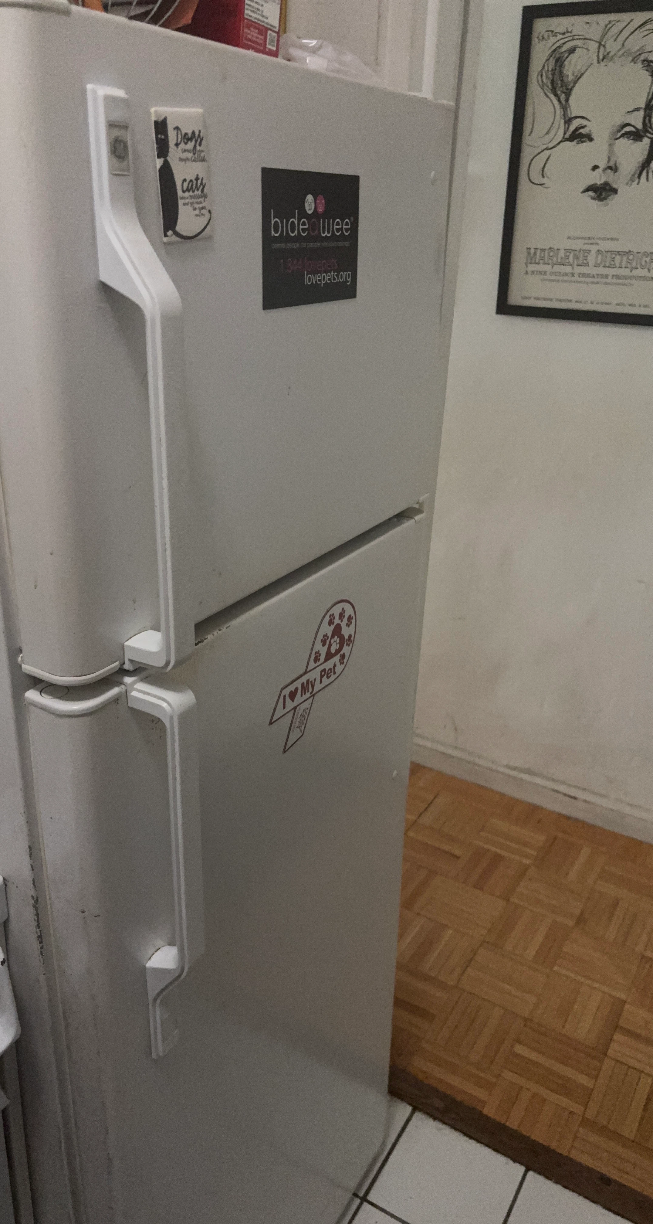 GE White Top-Freezer Refrigerator