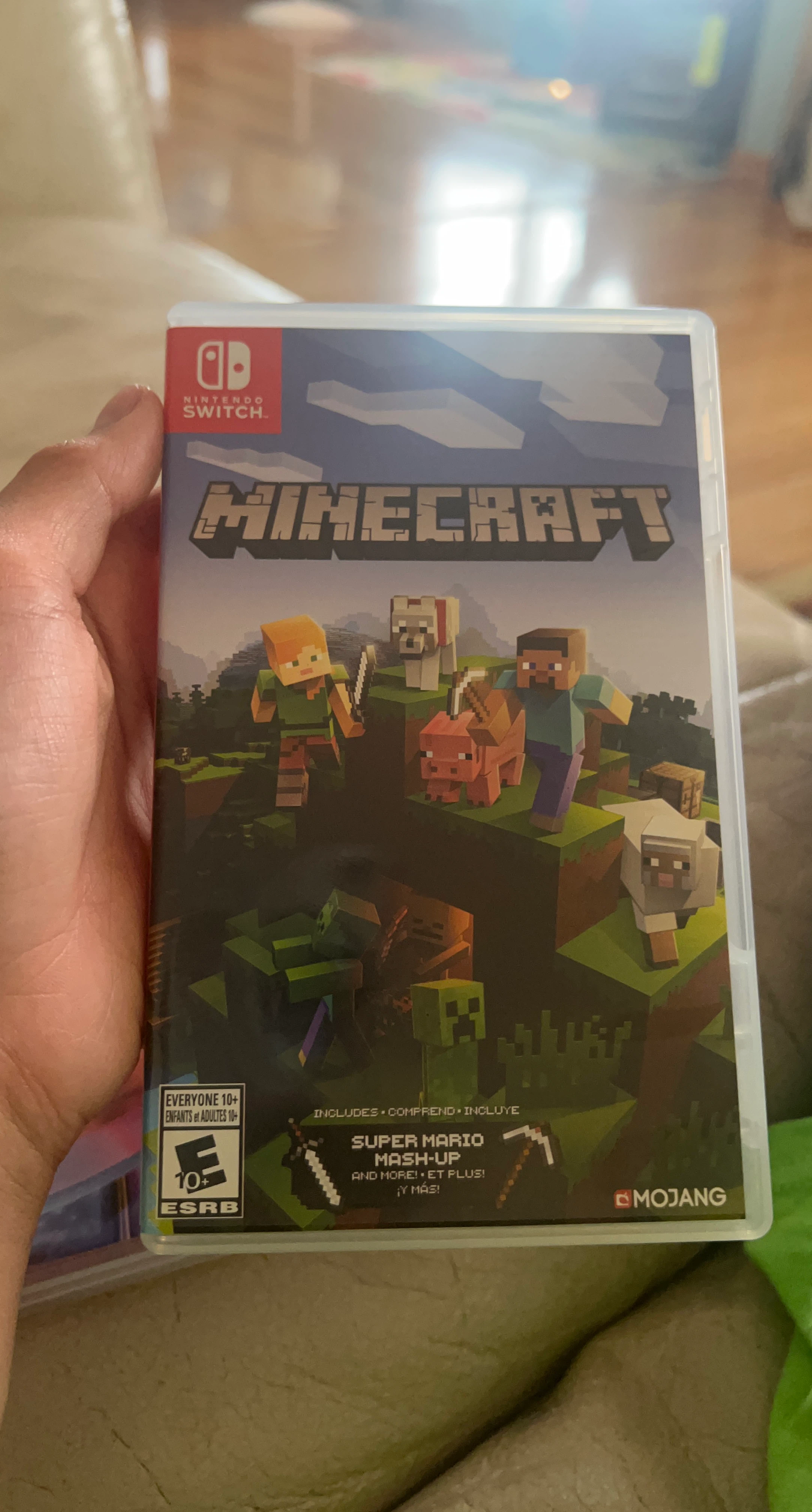 Minecraft Nintendo Switch