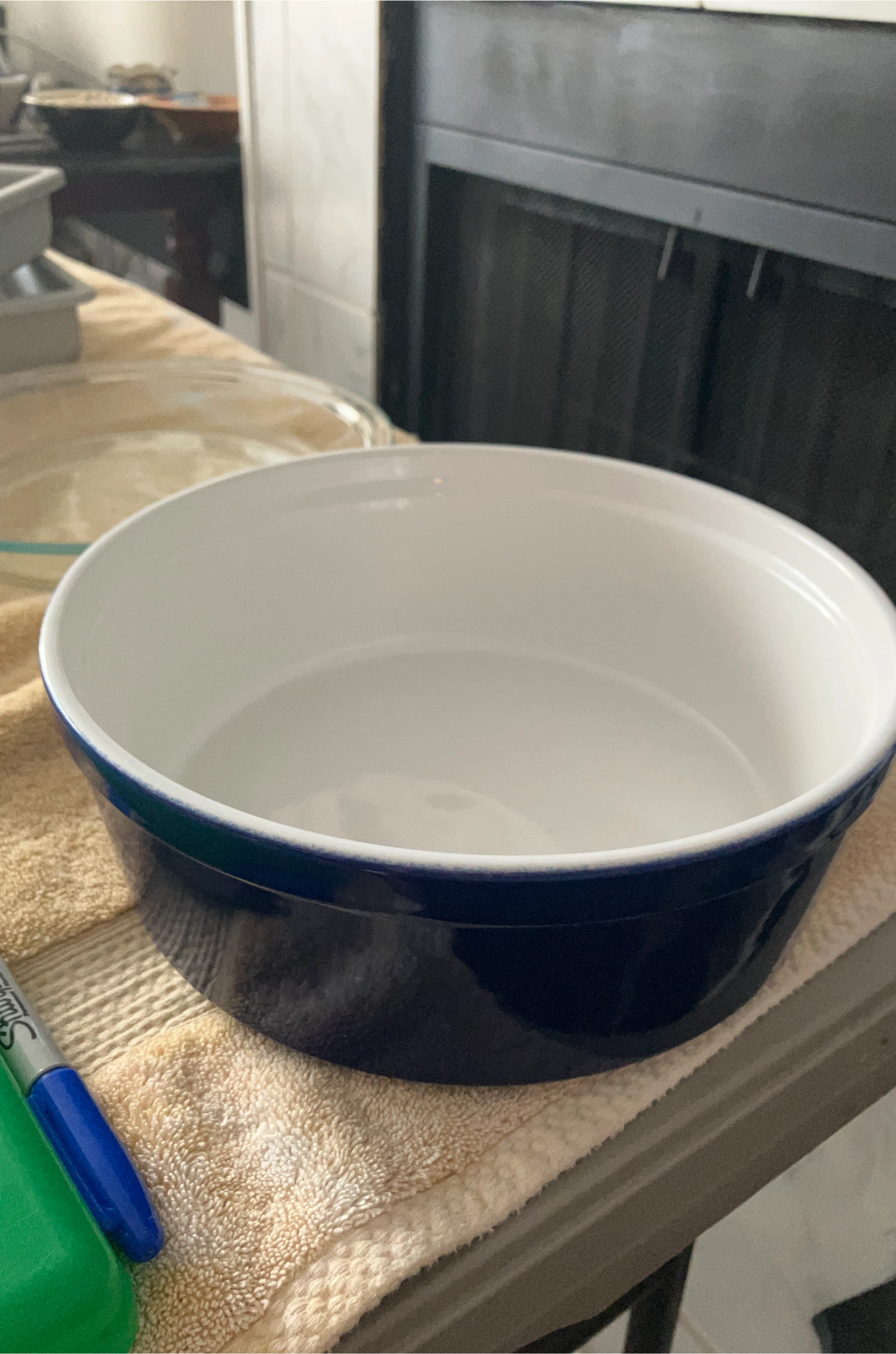 Blue and White Ceramic Serving Bowl