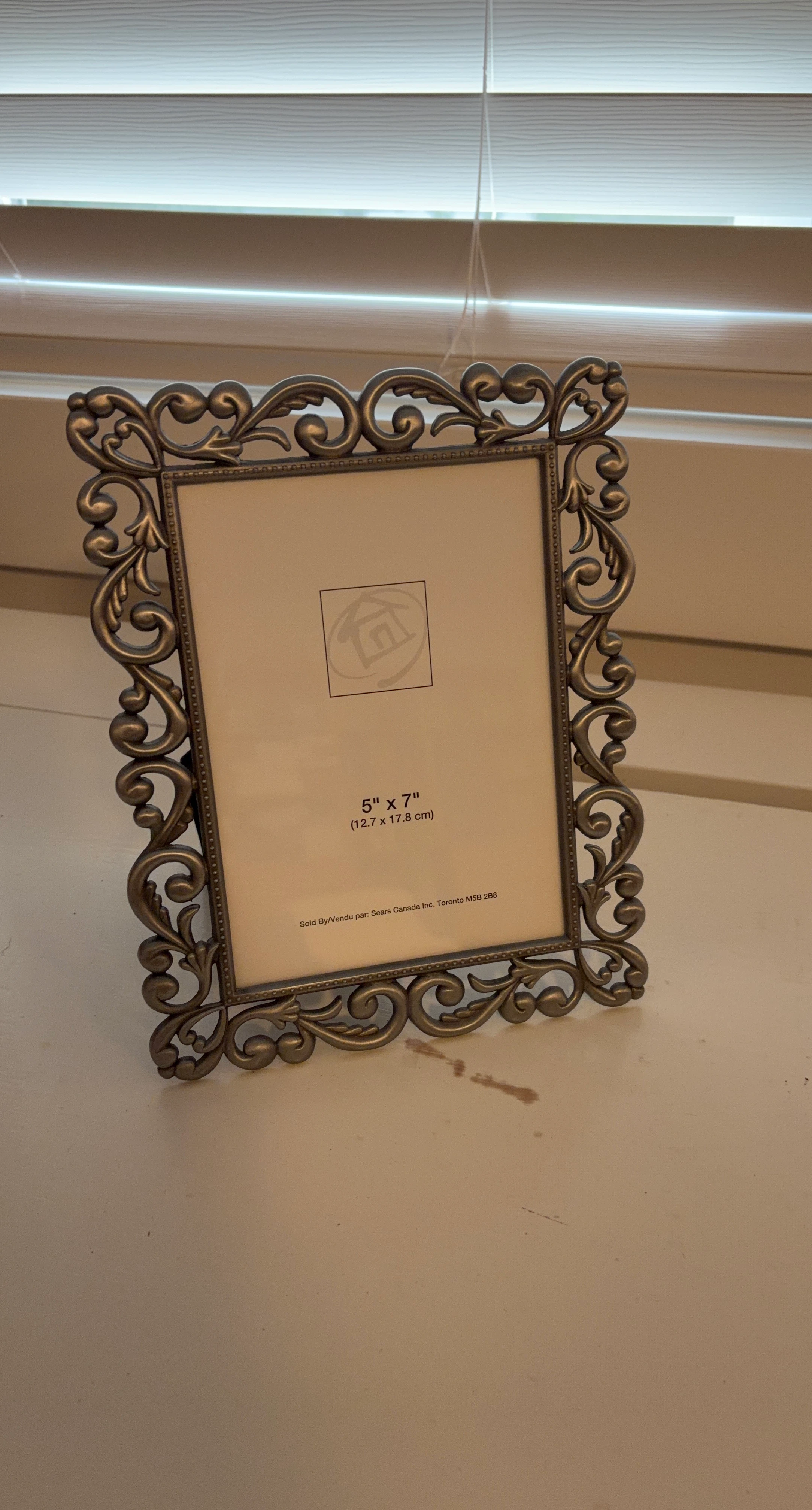 Ornate Silver-Tone Photo Frame
