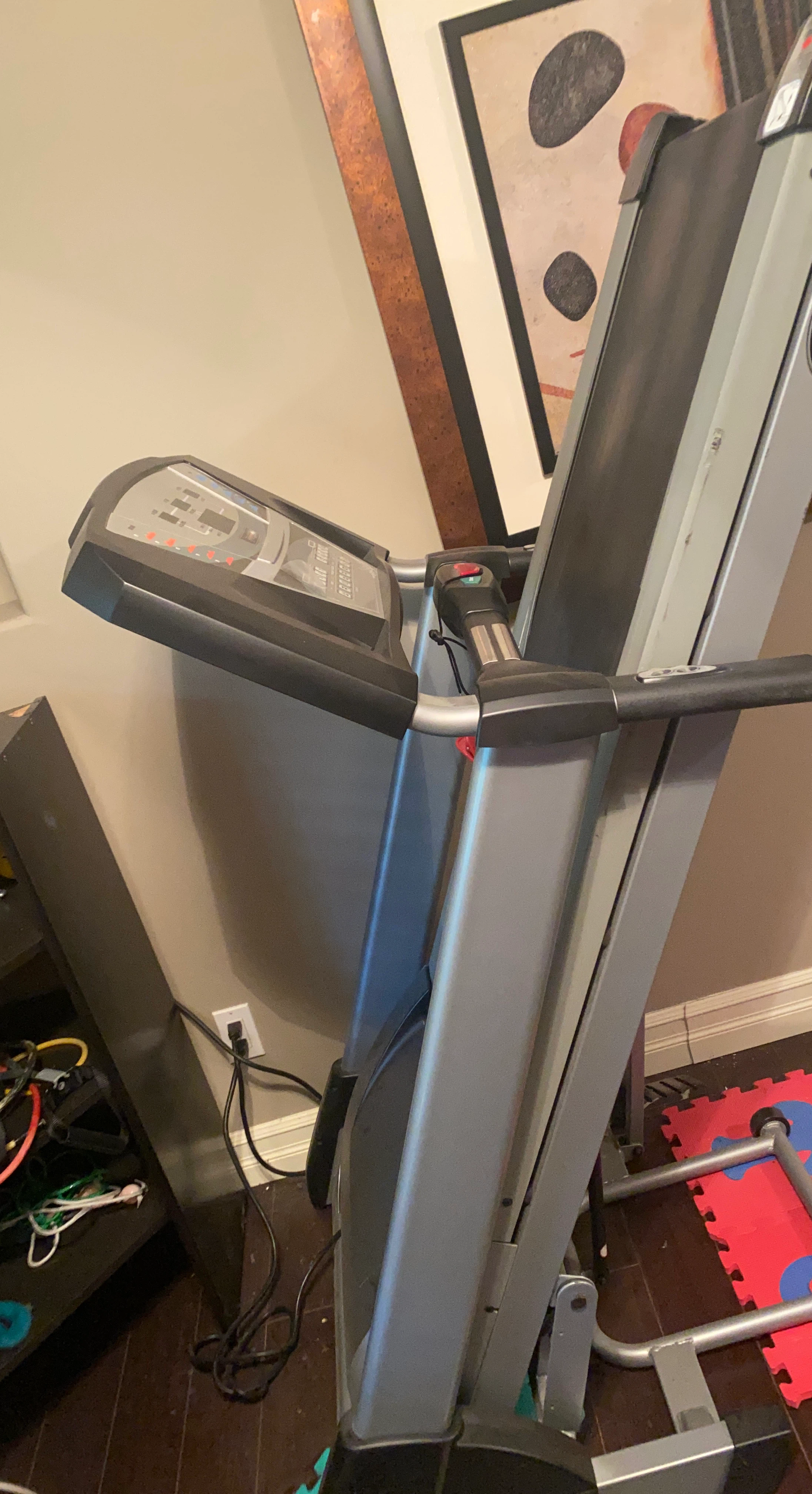 FreeSpirit Treadmill