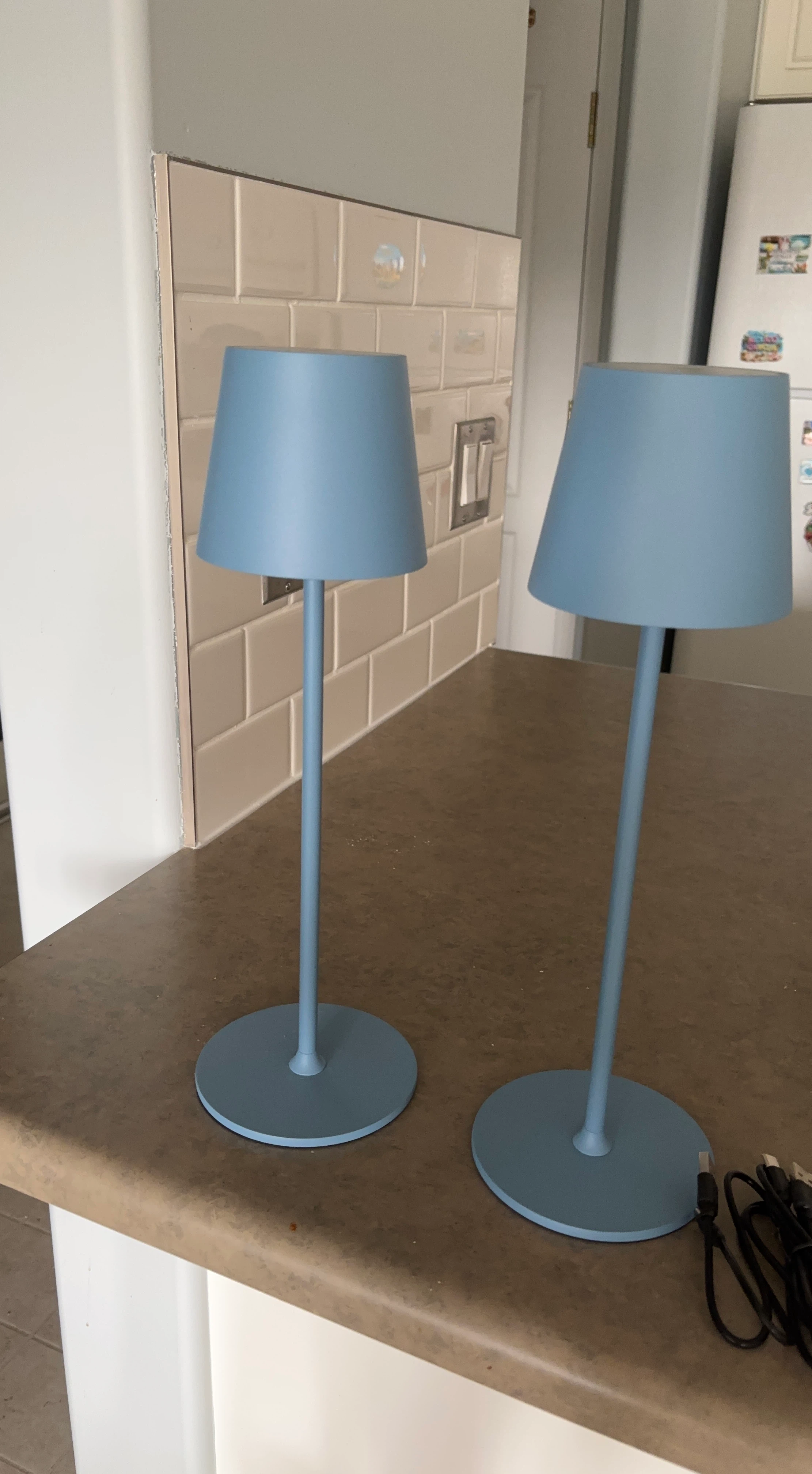Two Blue Cordless LED Table Lamps