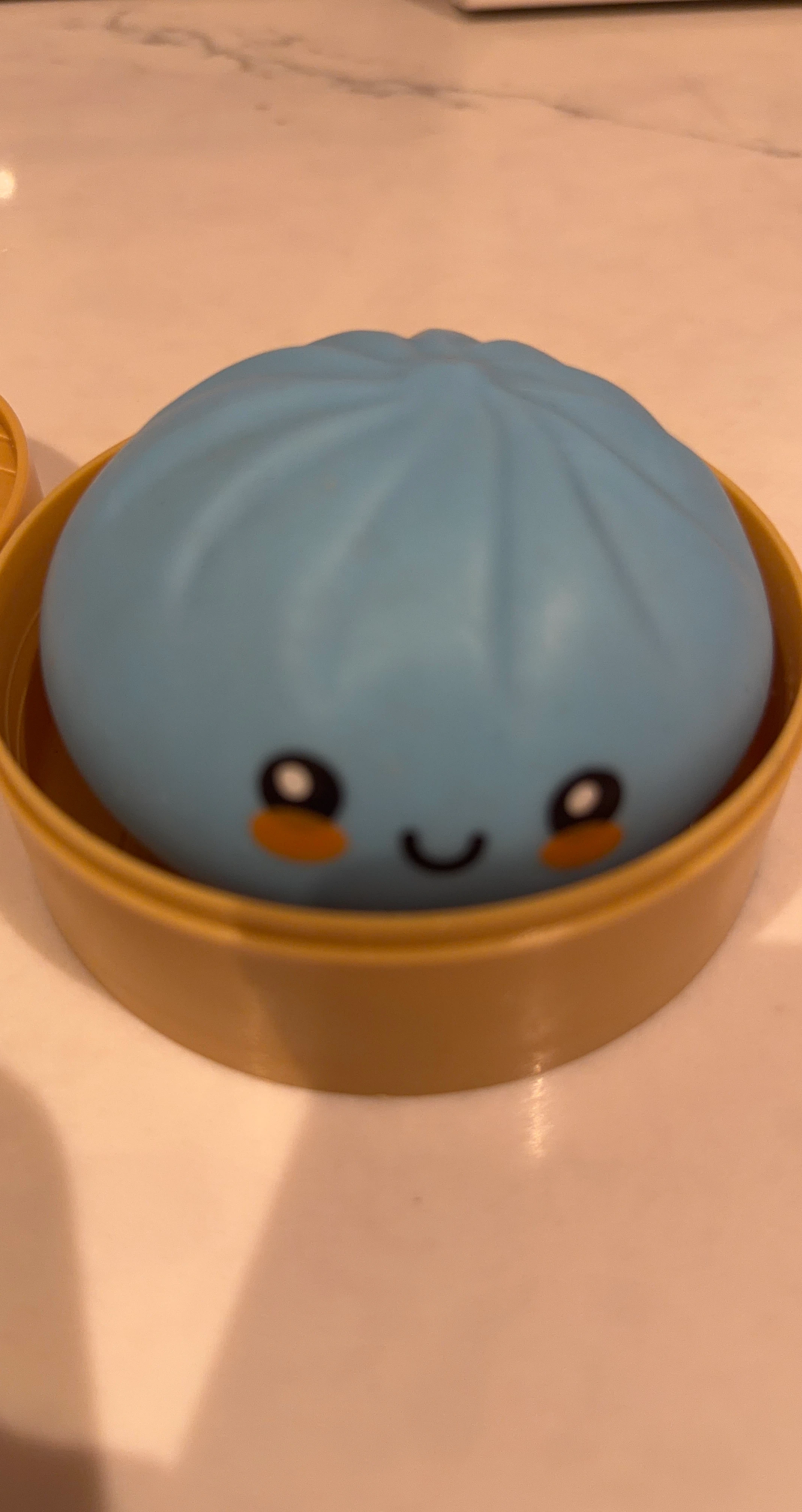 Blue Bao Squishy Toy with Steamer Container