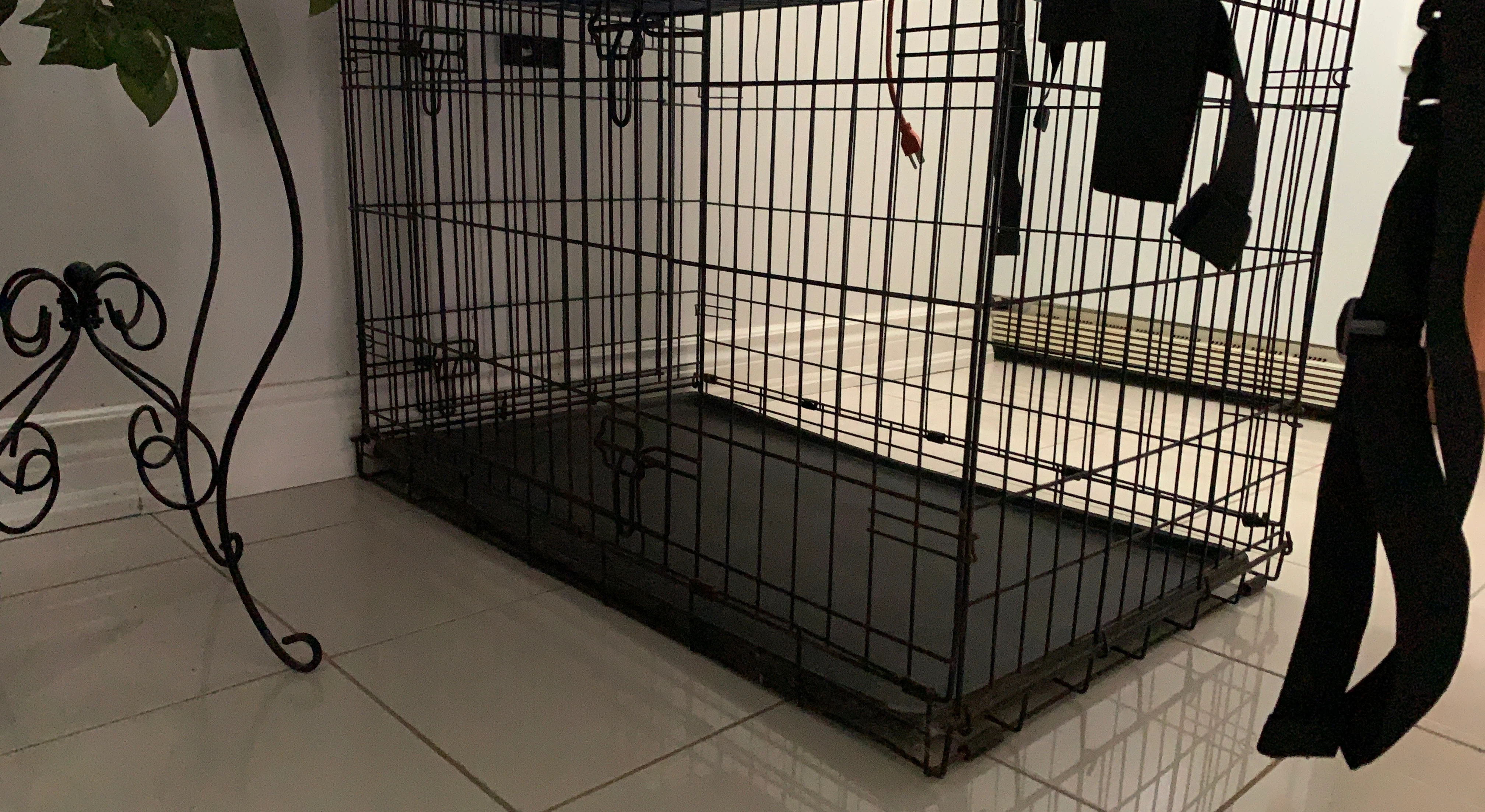 Large Wire Dog Crate