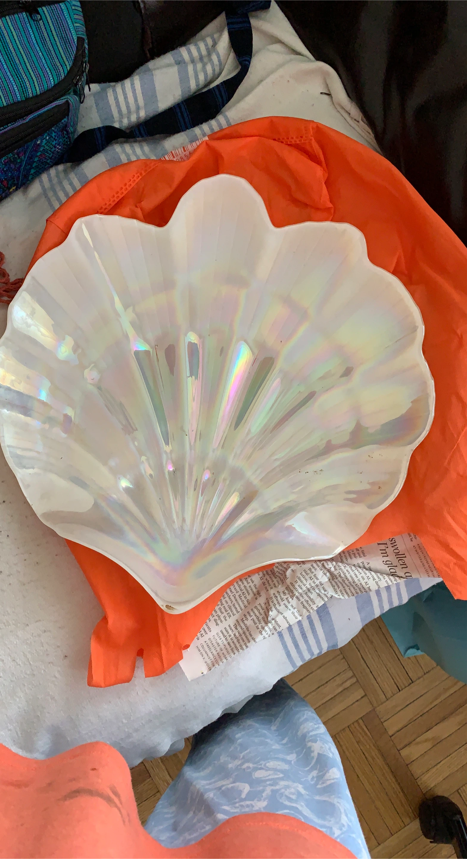 Iridescent Seashell Dish