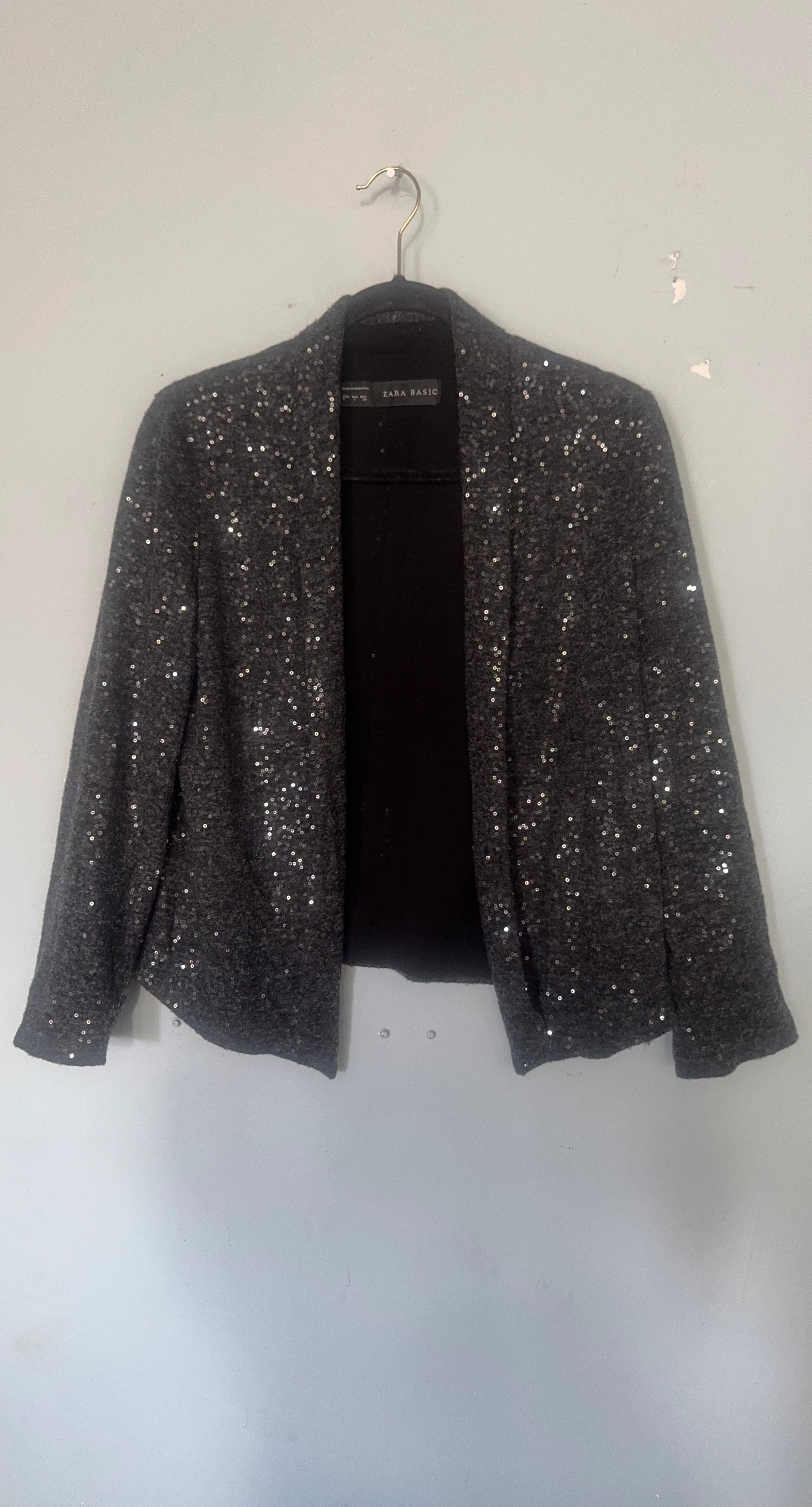 Zara Basic Sequin Blazer