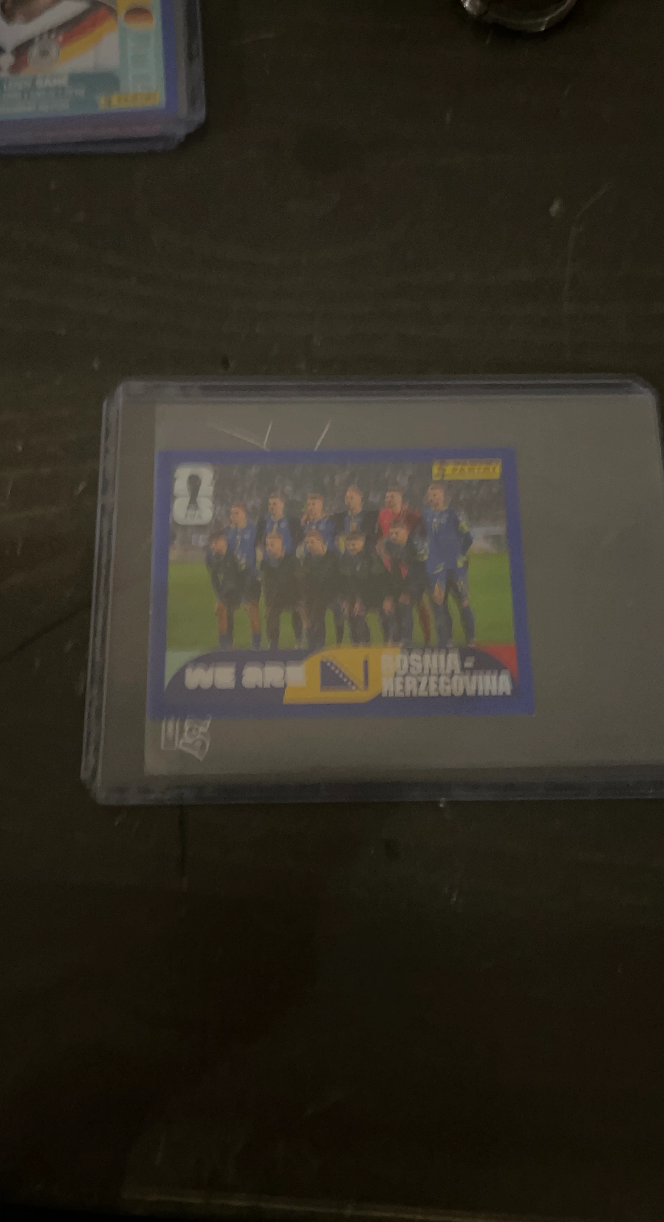 Panini FIFA Bosnia and Herzegovina Team Sticker