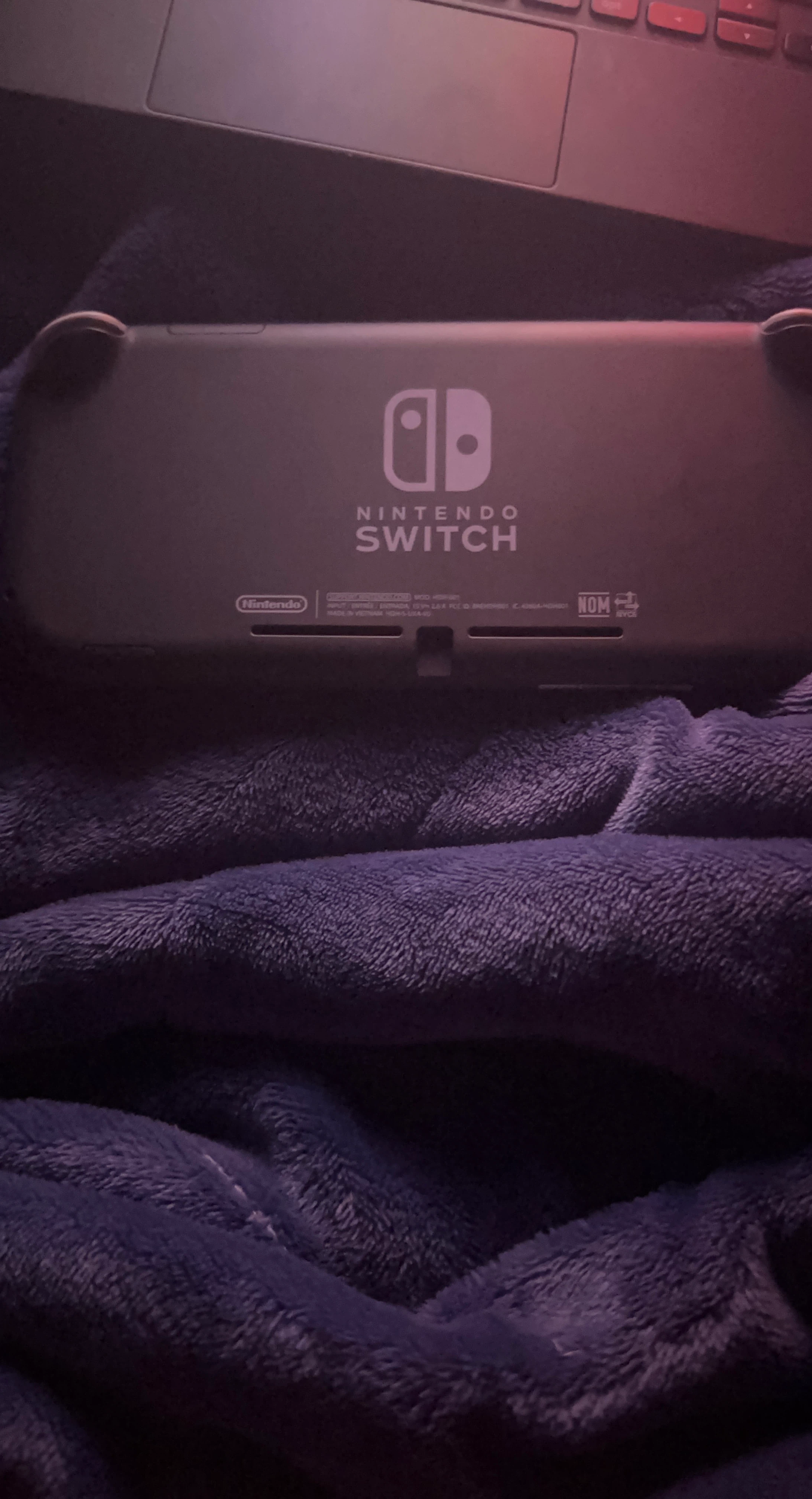 Nintendo Switch Lite Gray