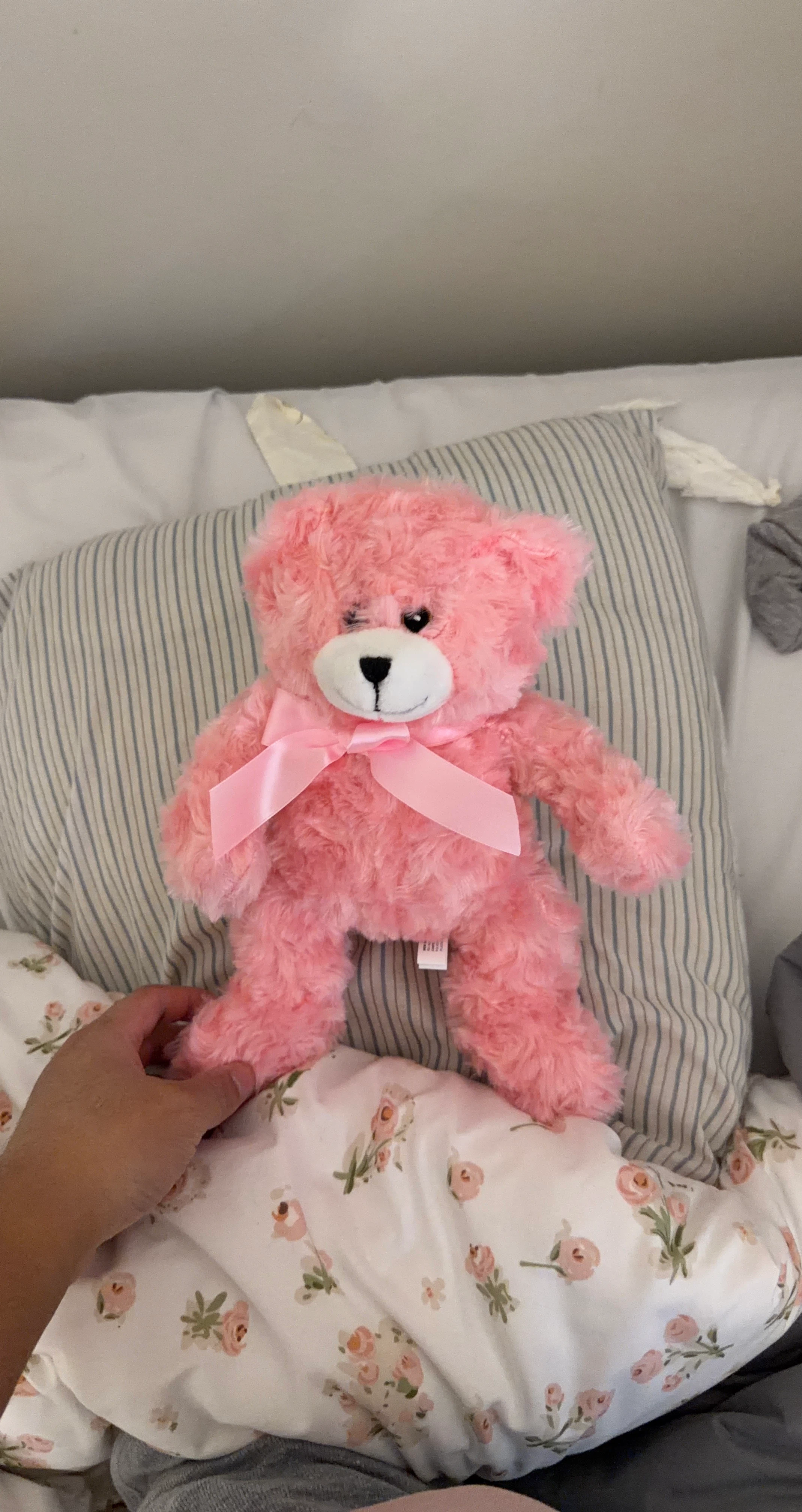 Pink Plush Teddy Bear