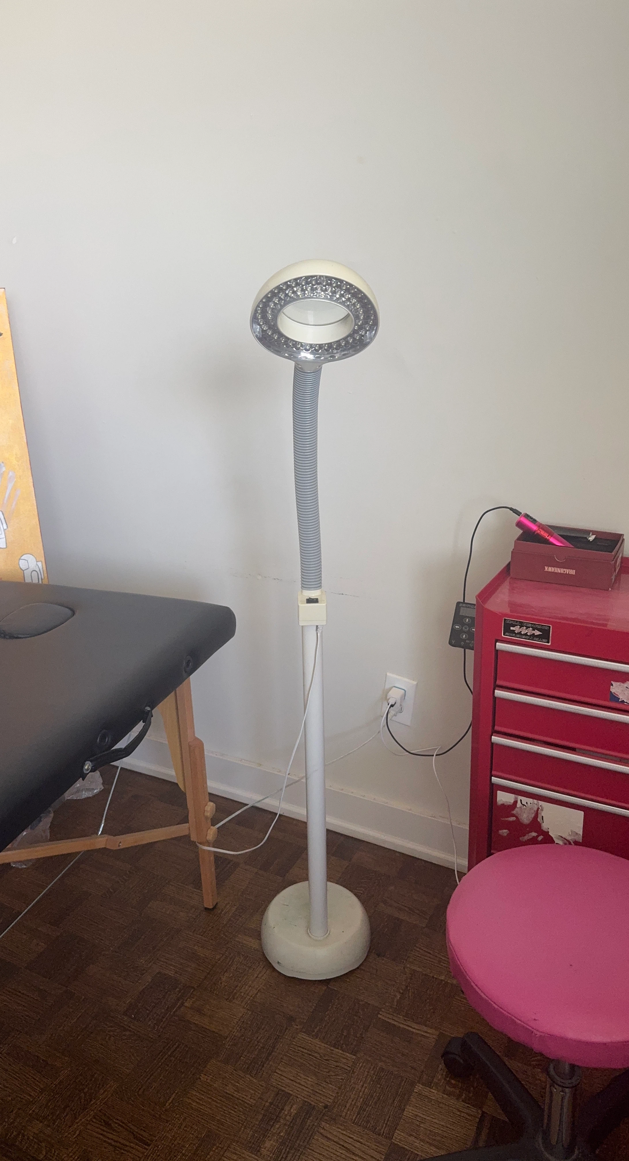 LED Magnifying Floor Lamp