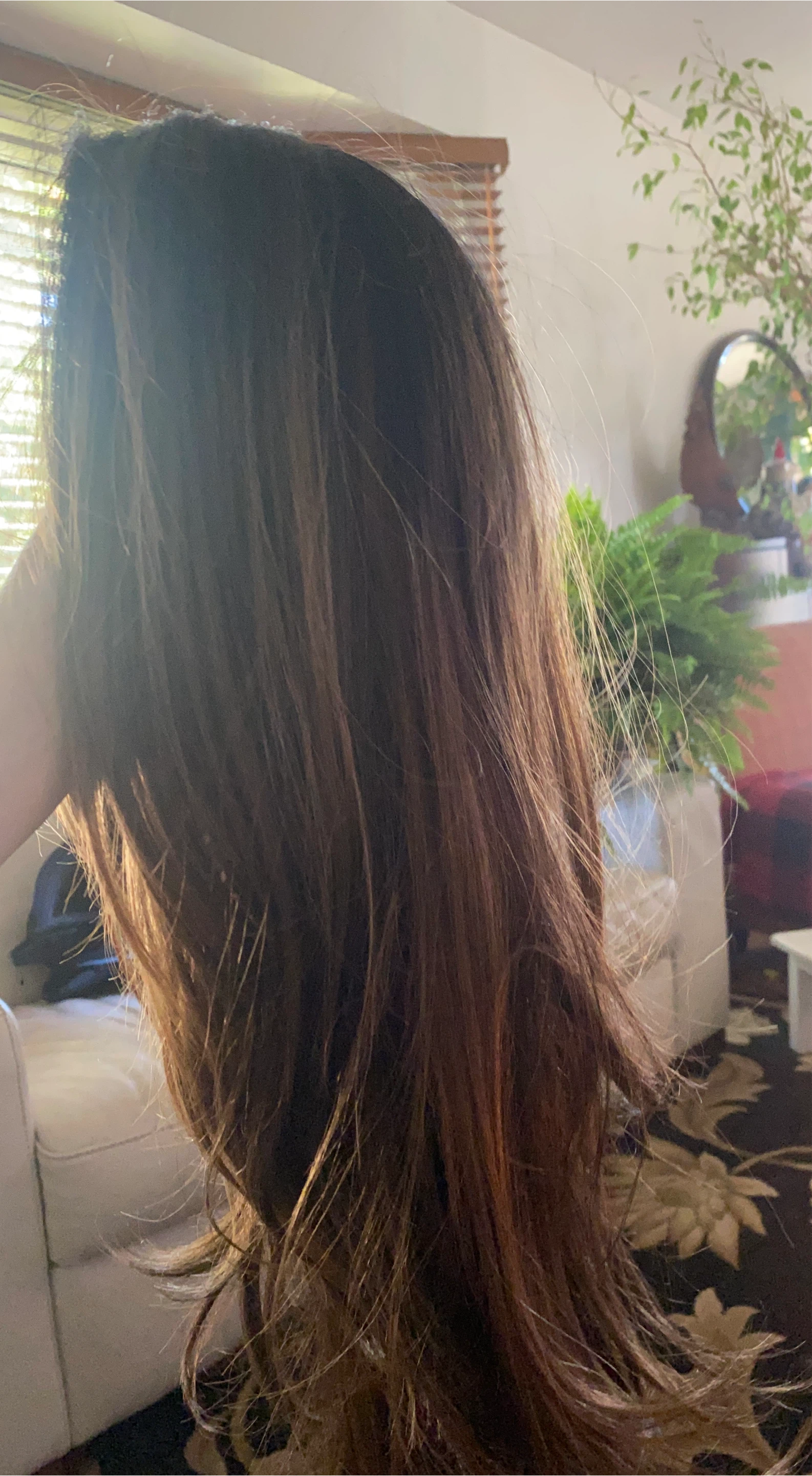 Long Brown Hair Wig
