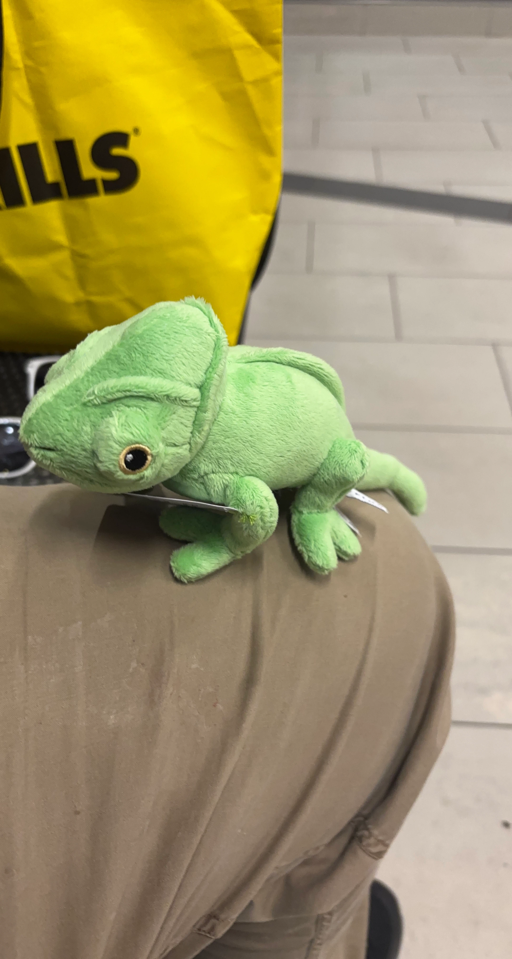 Green Chameleon Plush Toy