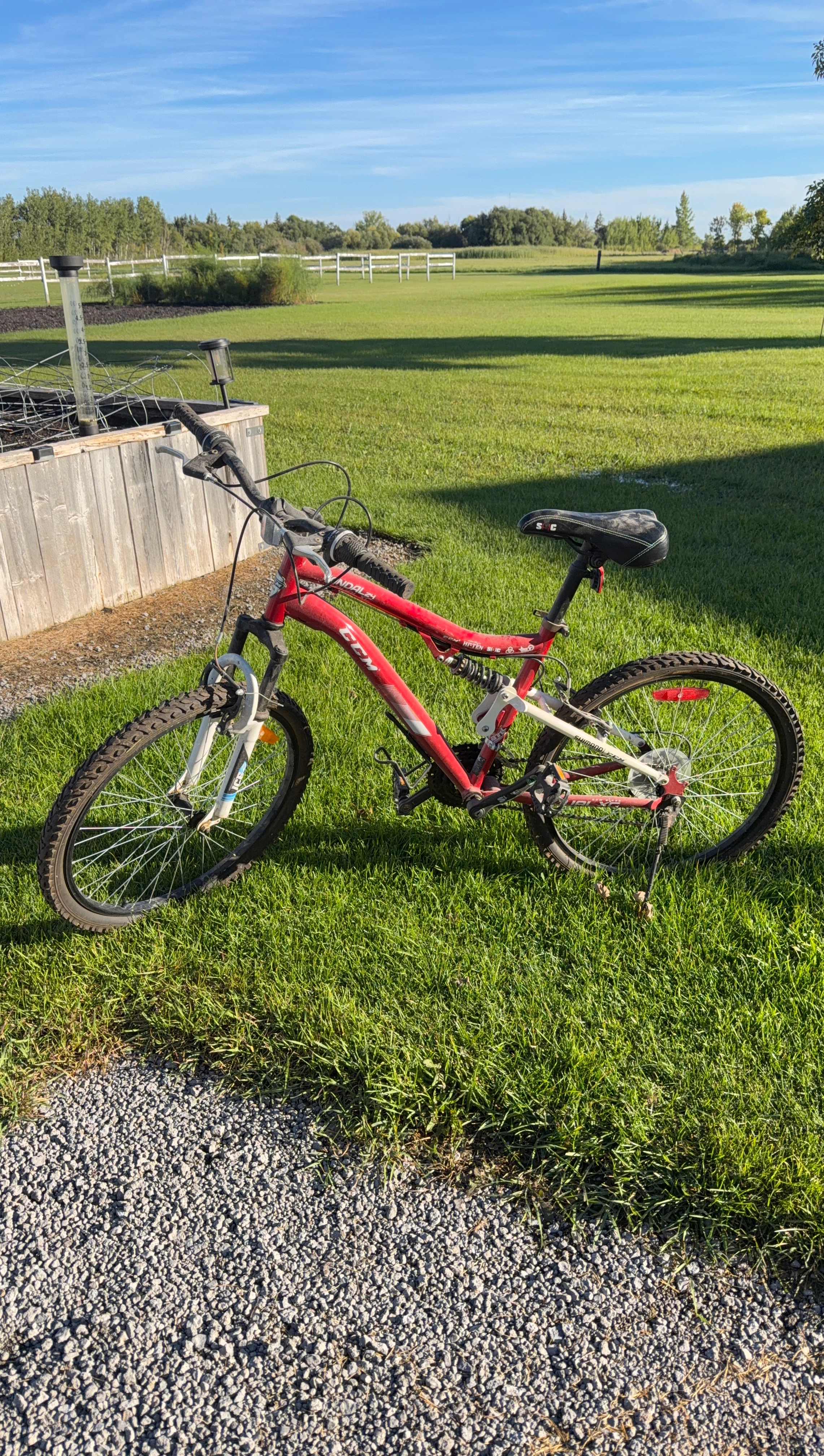 CCM Vandal 24 Dual XC Mountain Bike