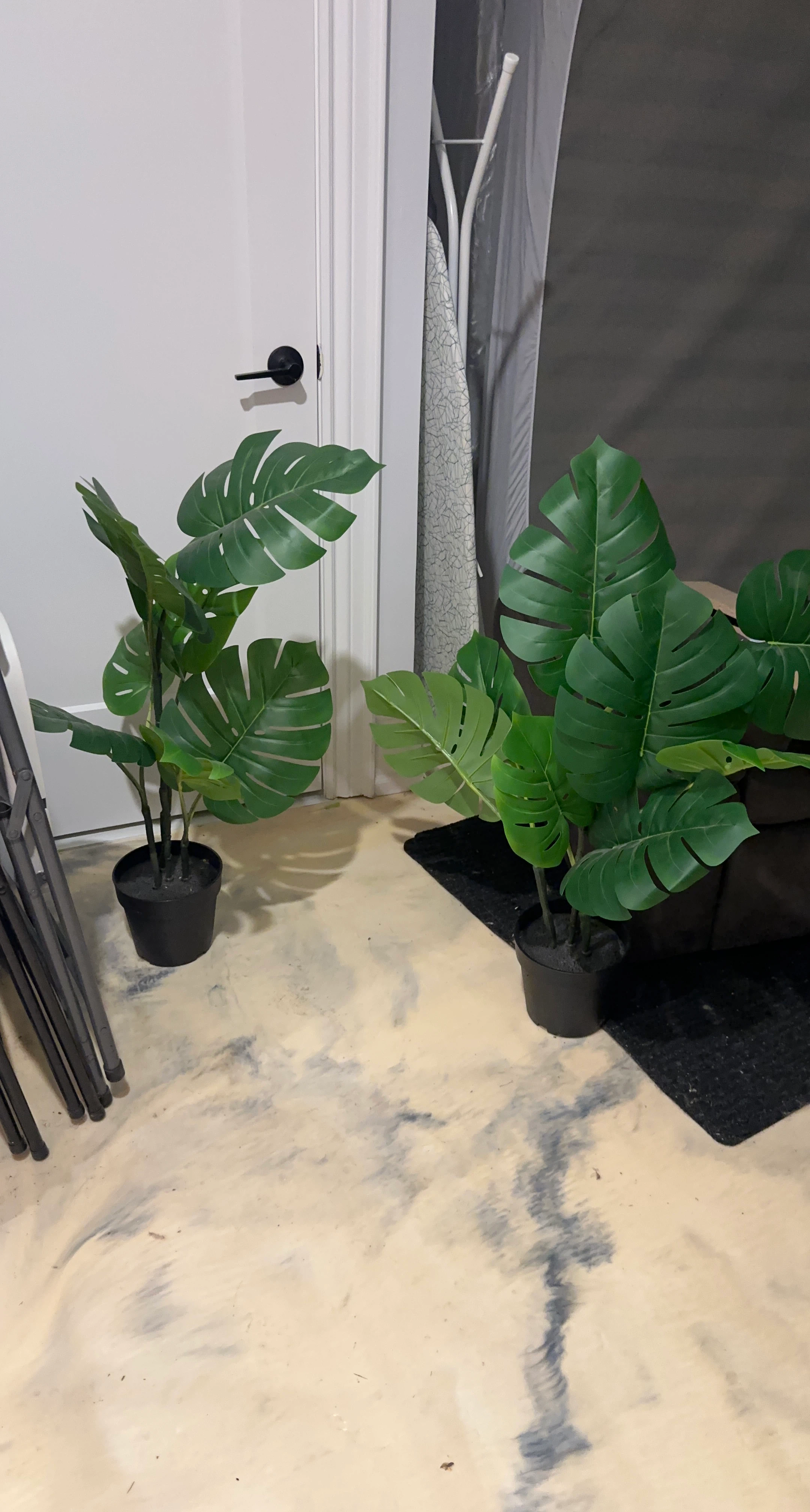 Two Artificial Monstera Plants