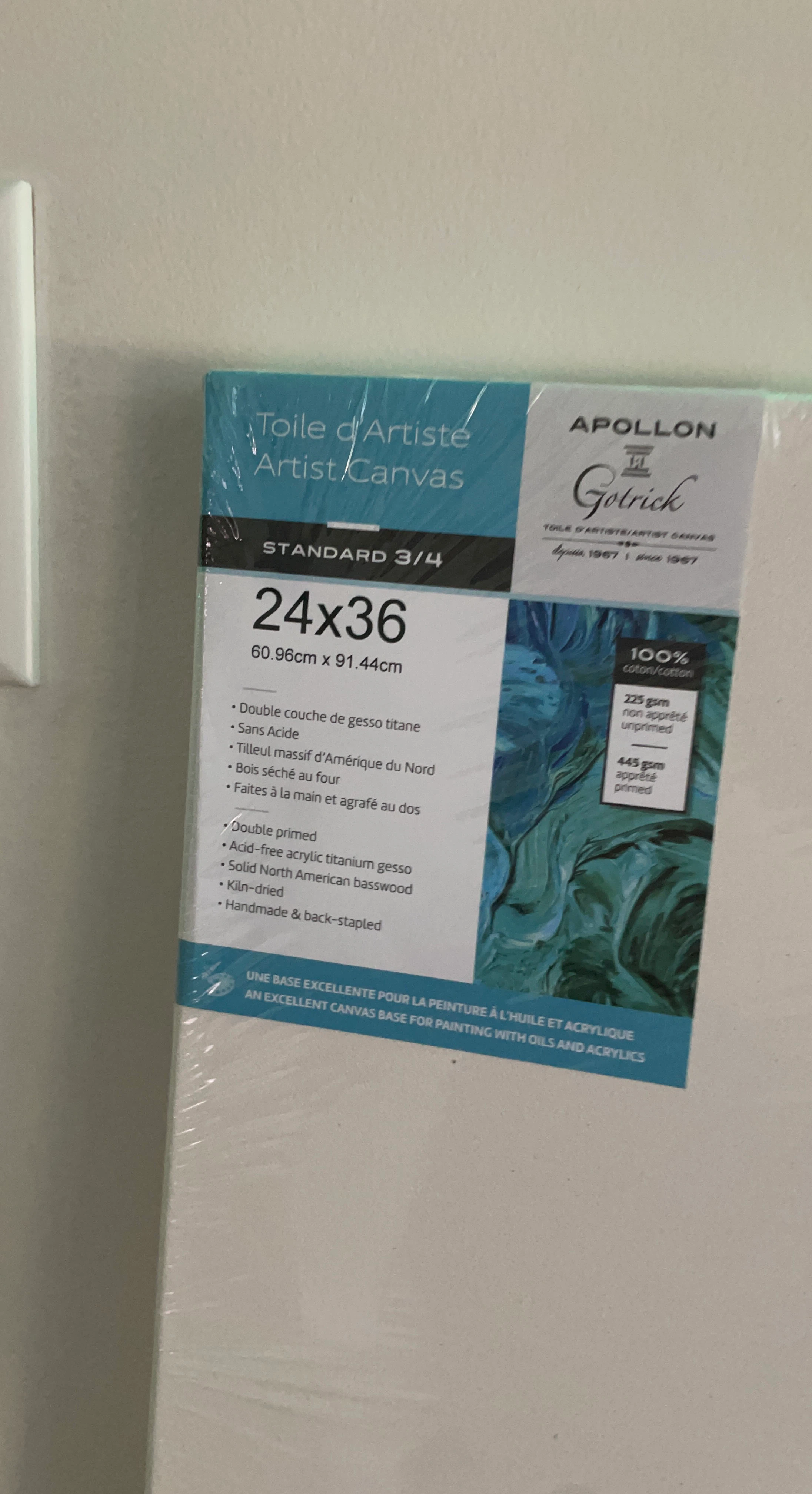 Apollon Gotrick Artist Canvases (24x36 and 18x24)