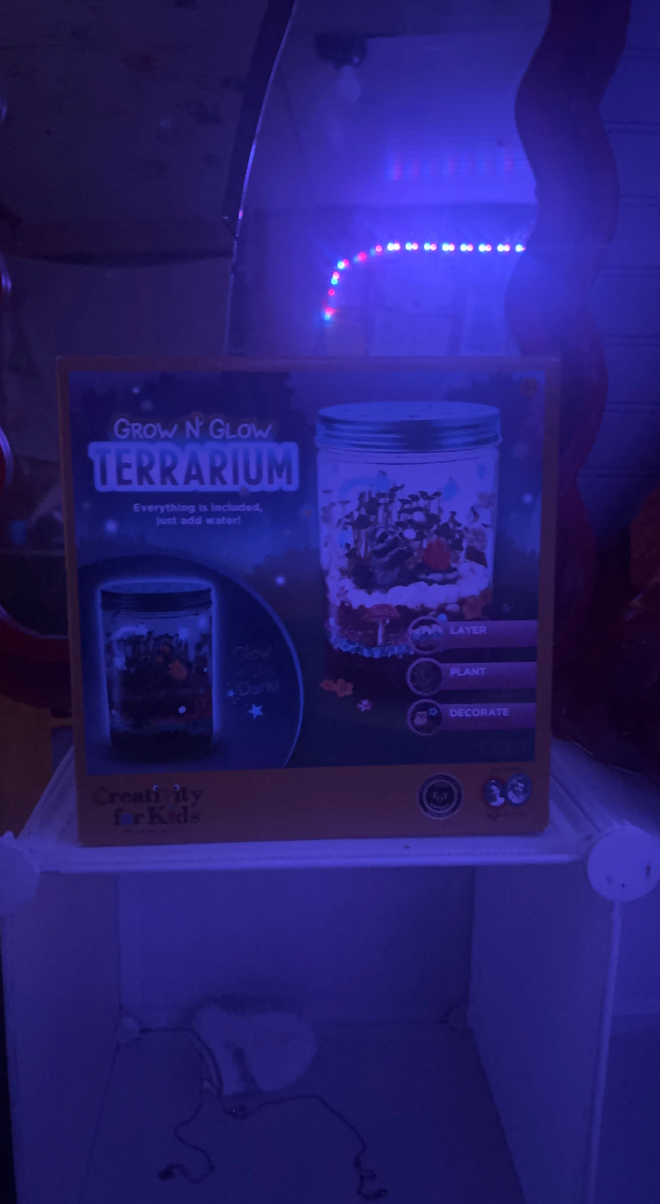 Creativity for Kids Grow N' Glow Terrarium