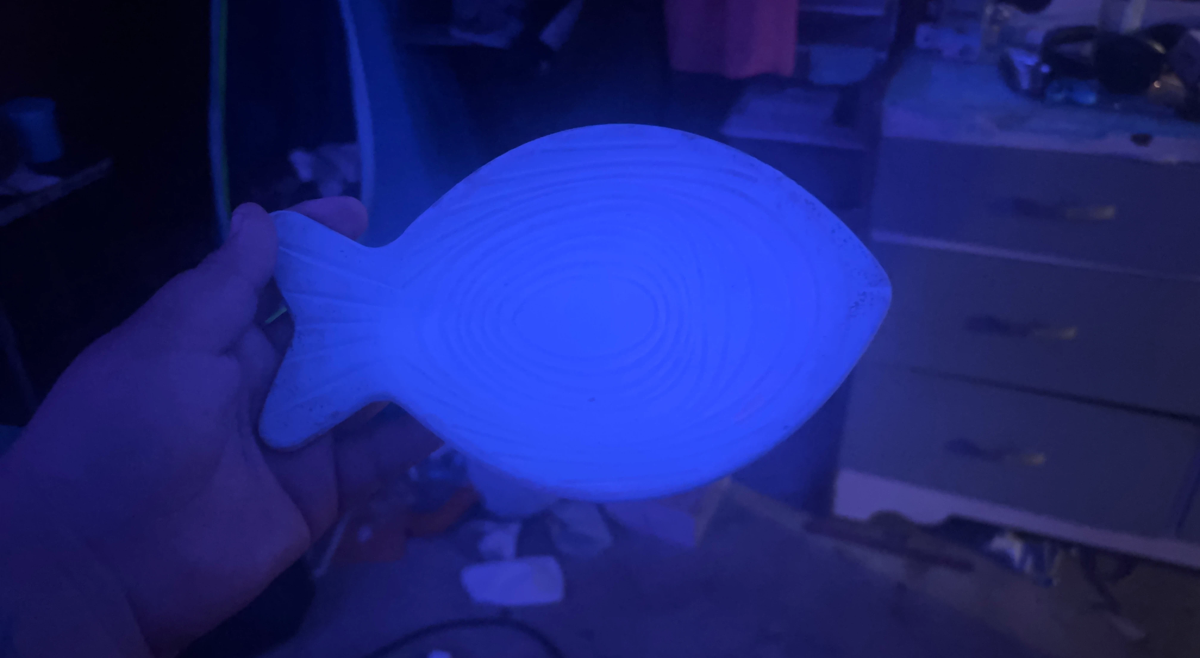 Fish-Shaped Decorative Tray
