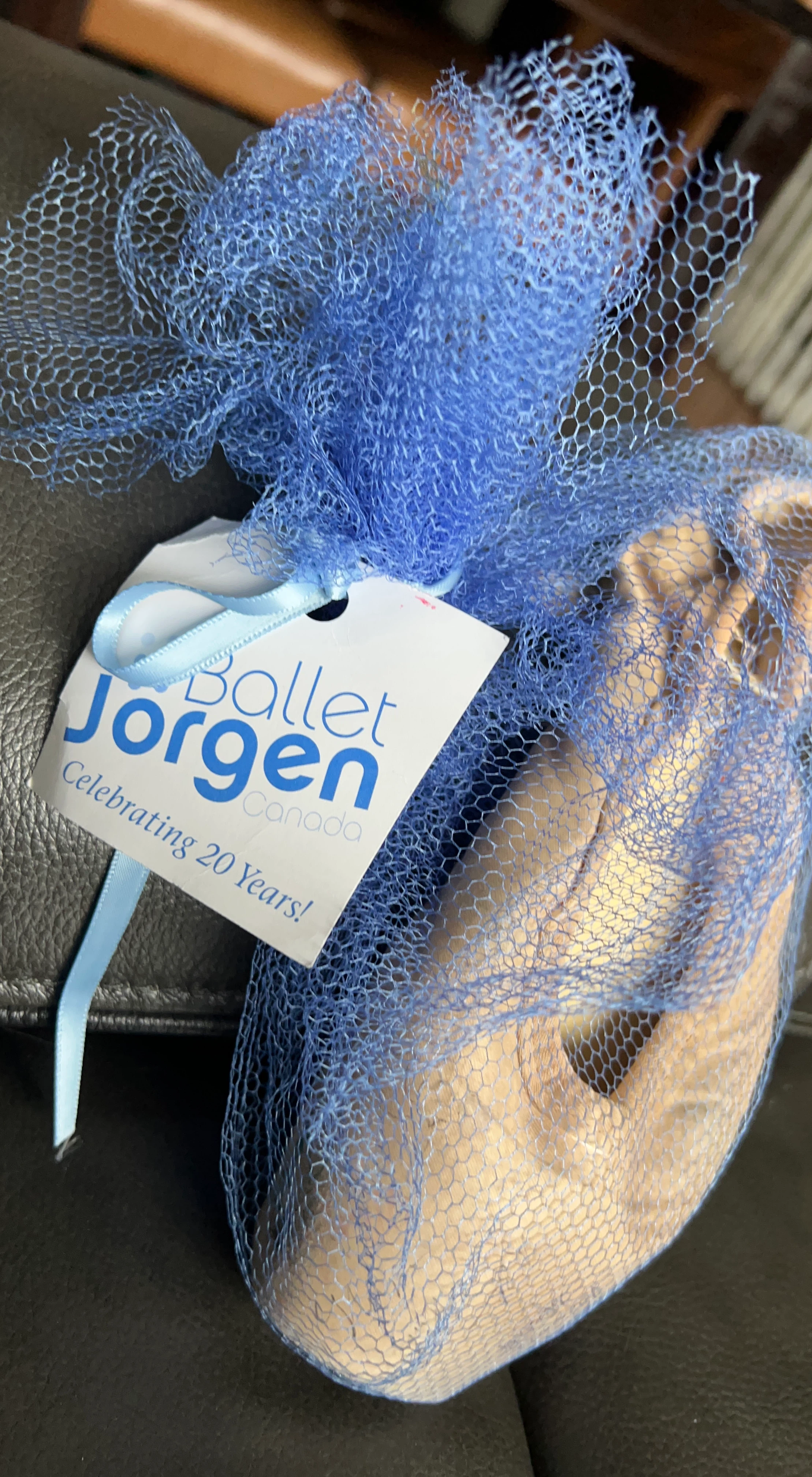 Ballet Jorgen Canada Pointe Shoe Souvenir