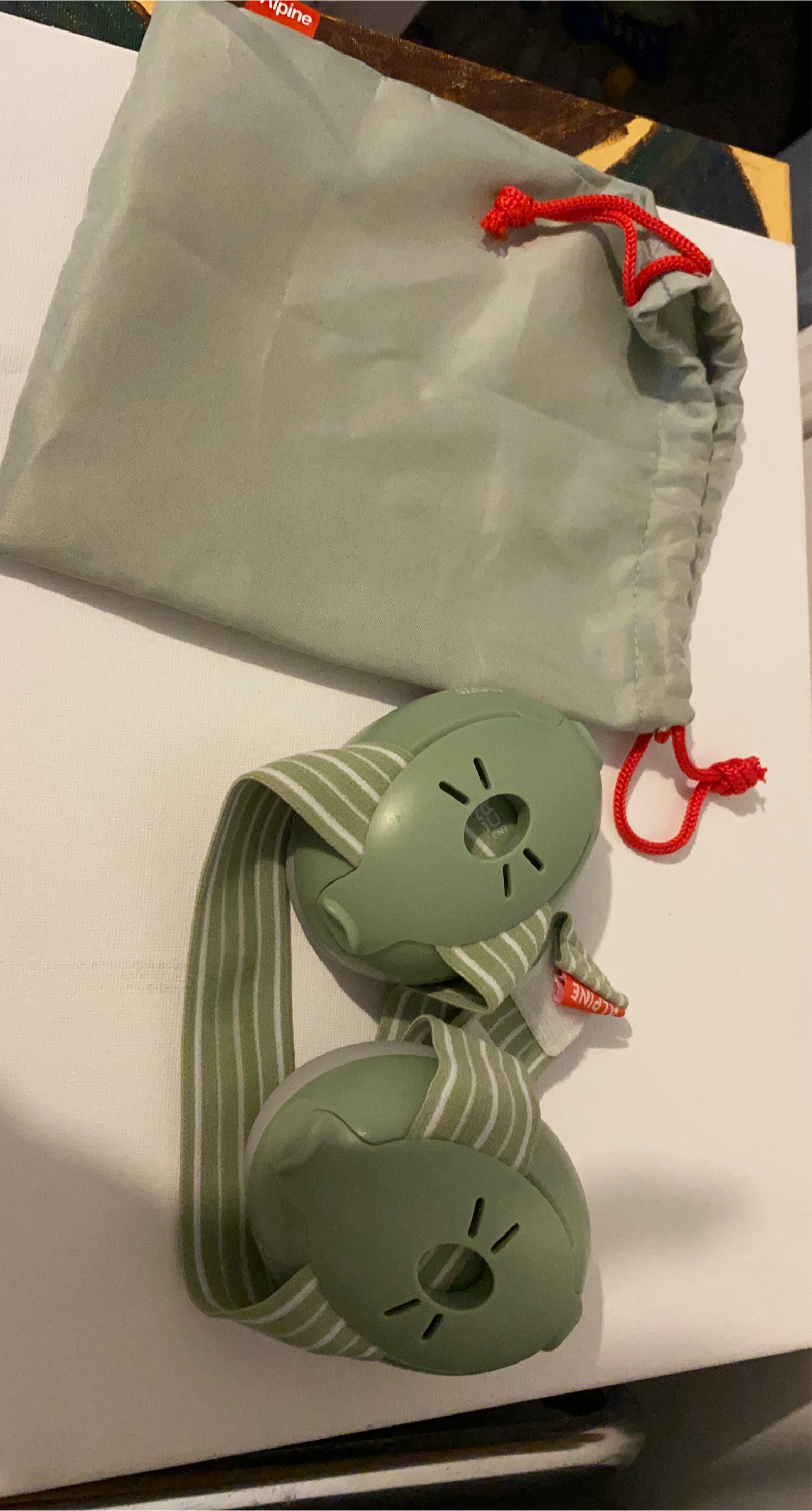 Alpine Muffy Kids Earmuffs Green