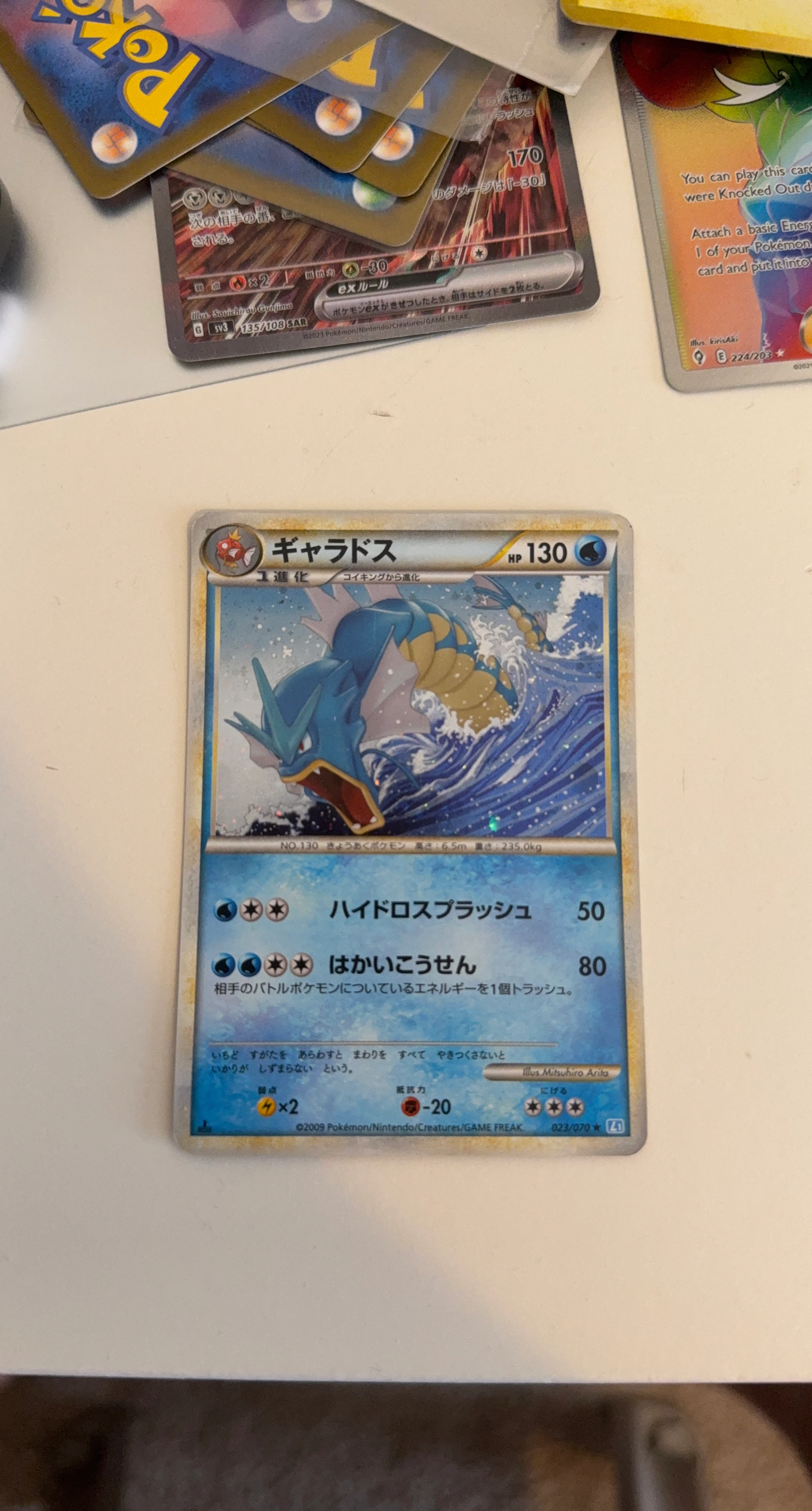 Pokemon Gyarados Card
