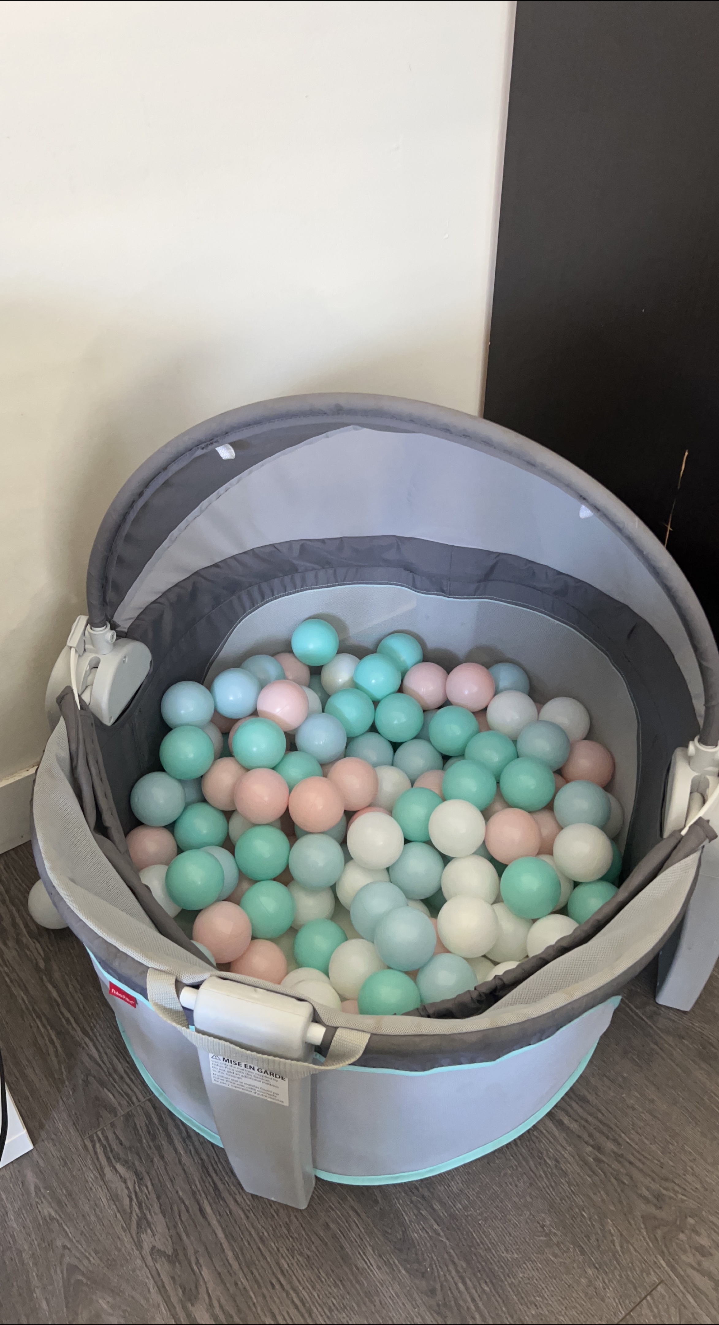 Fisher-Price On The Go baby playpen with ball pit balls