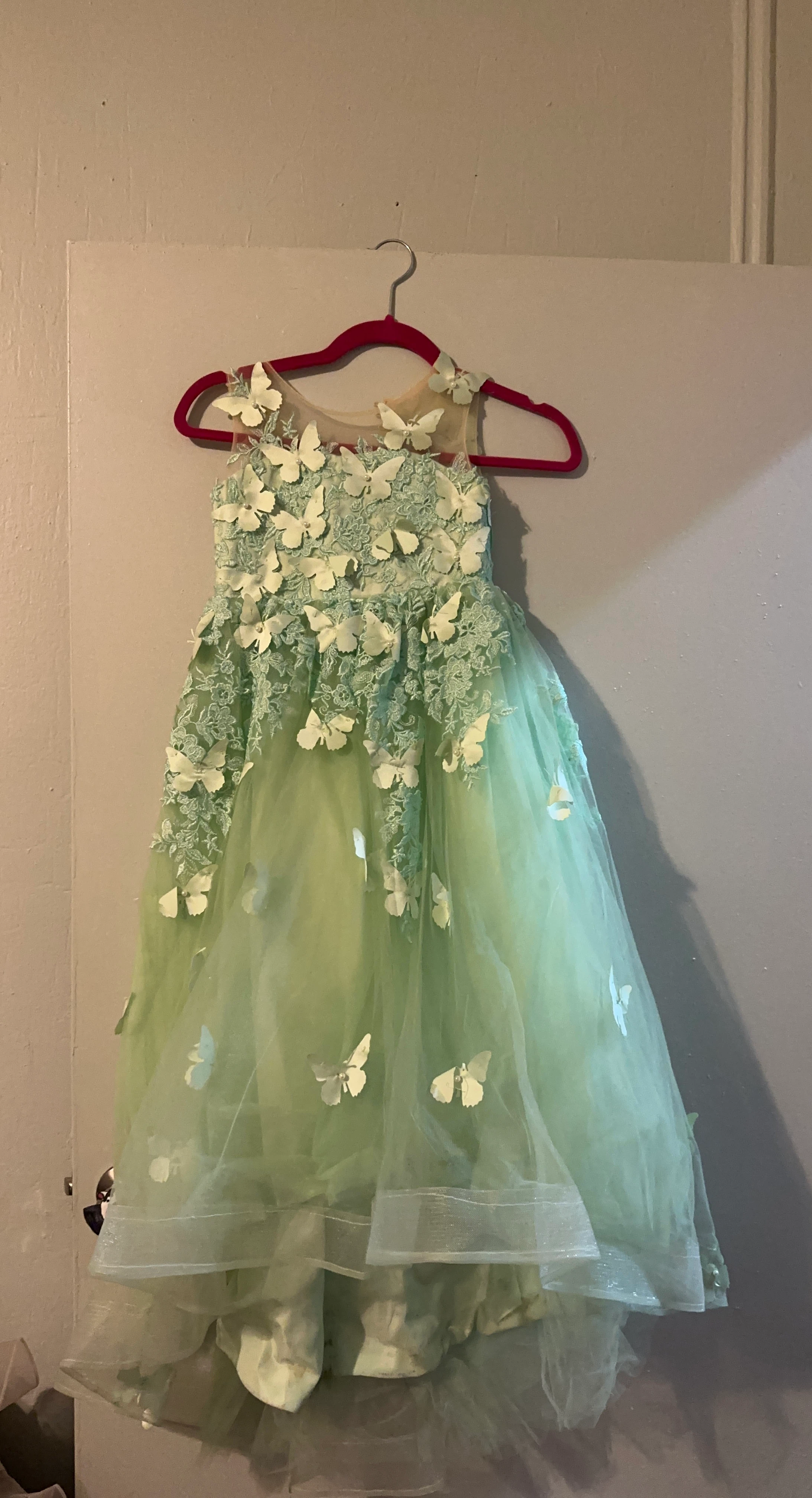 Girls Mint Green Butterfly Lace Dress