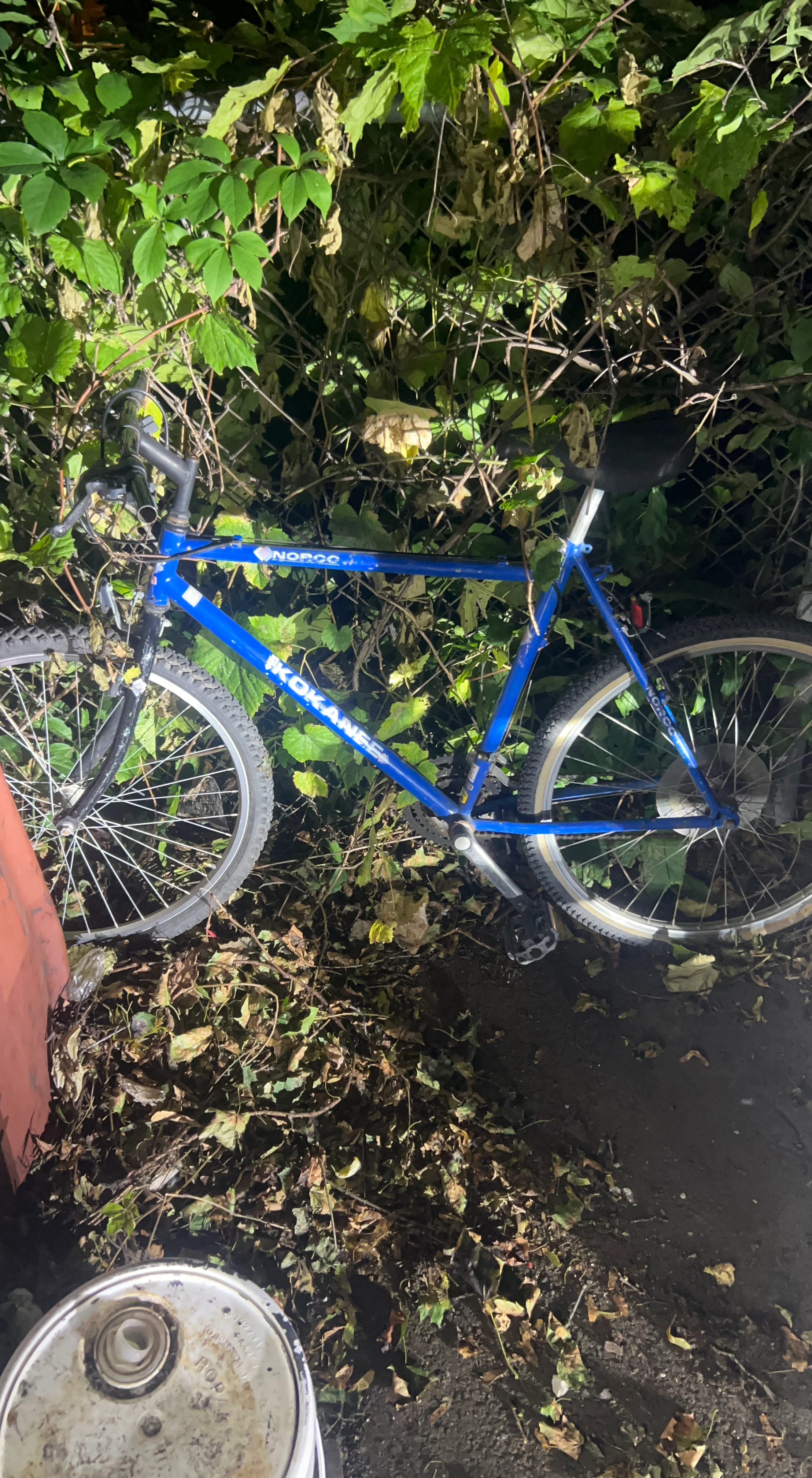 Norco Kokanee Mountain Bike