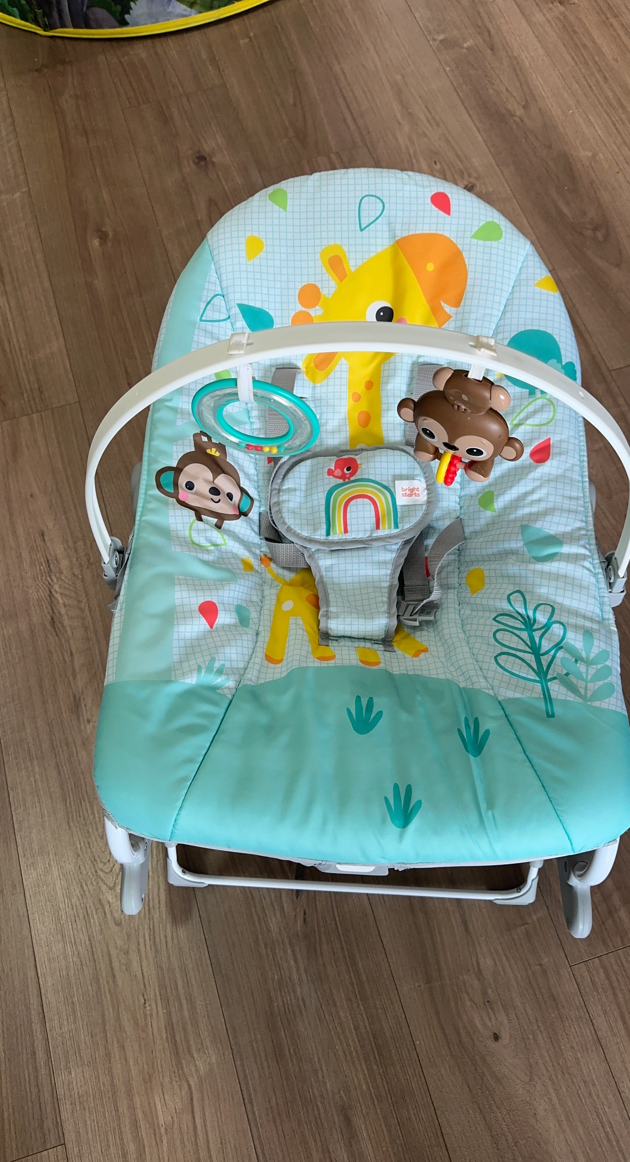 Bright Starts Baby Bouncer