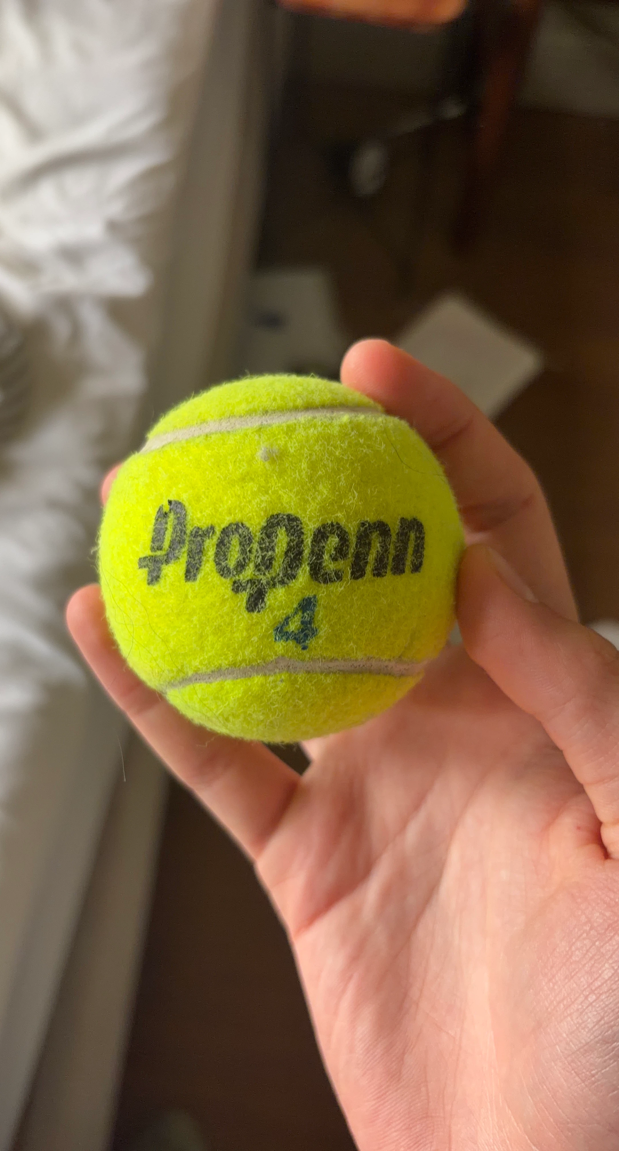 Penn Pro Penn Tennis Ball (Good condition)