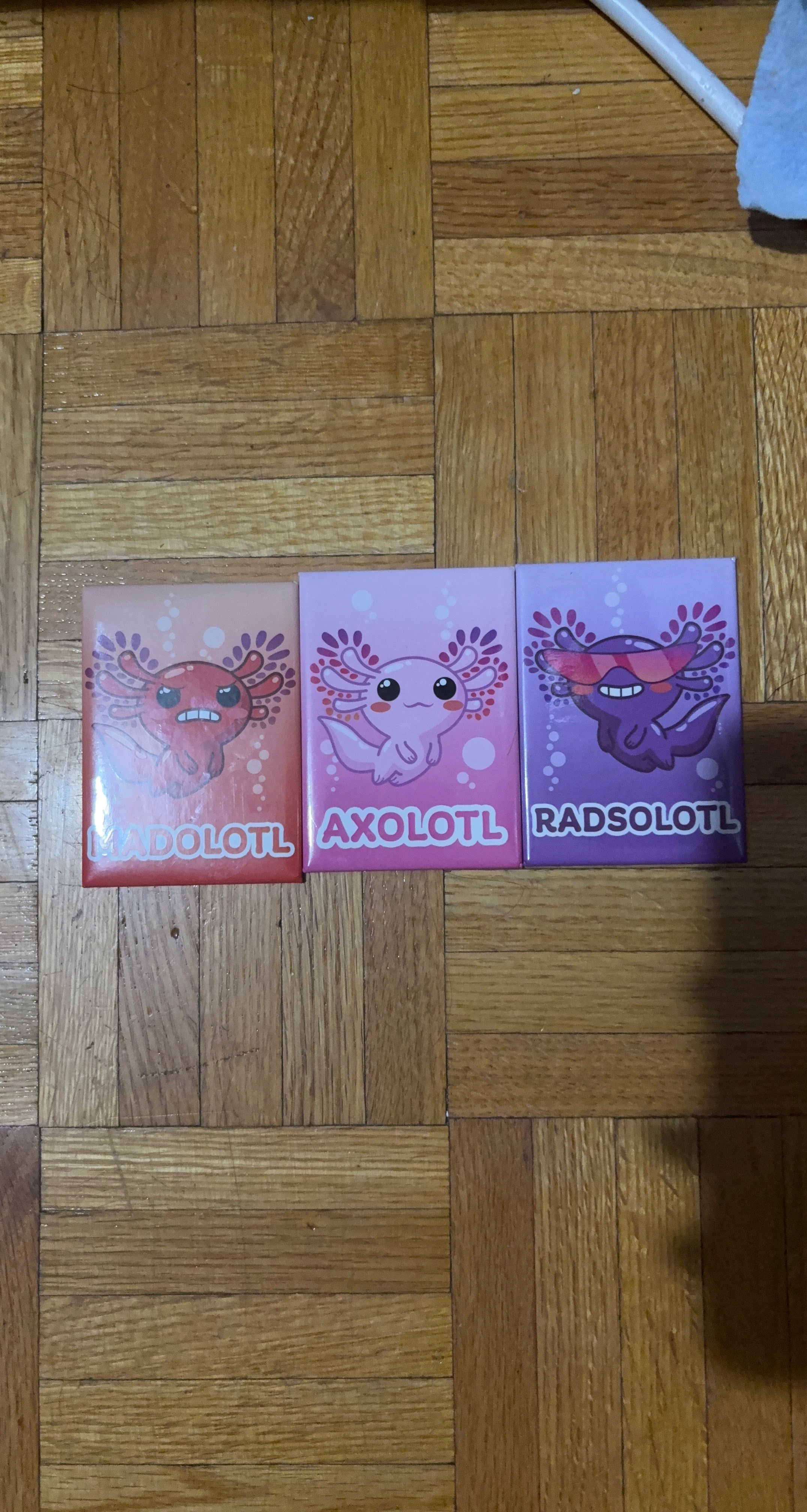 Axolotl Magnets