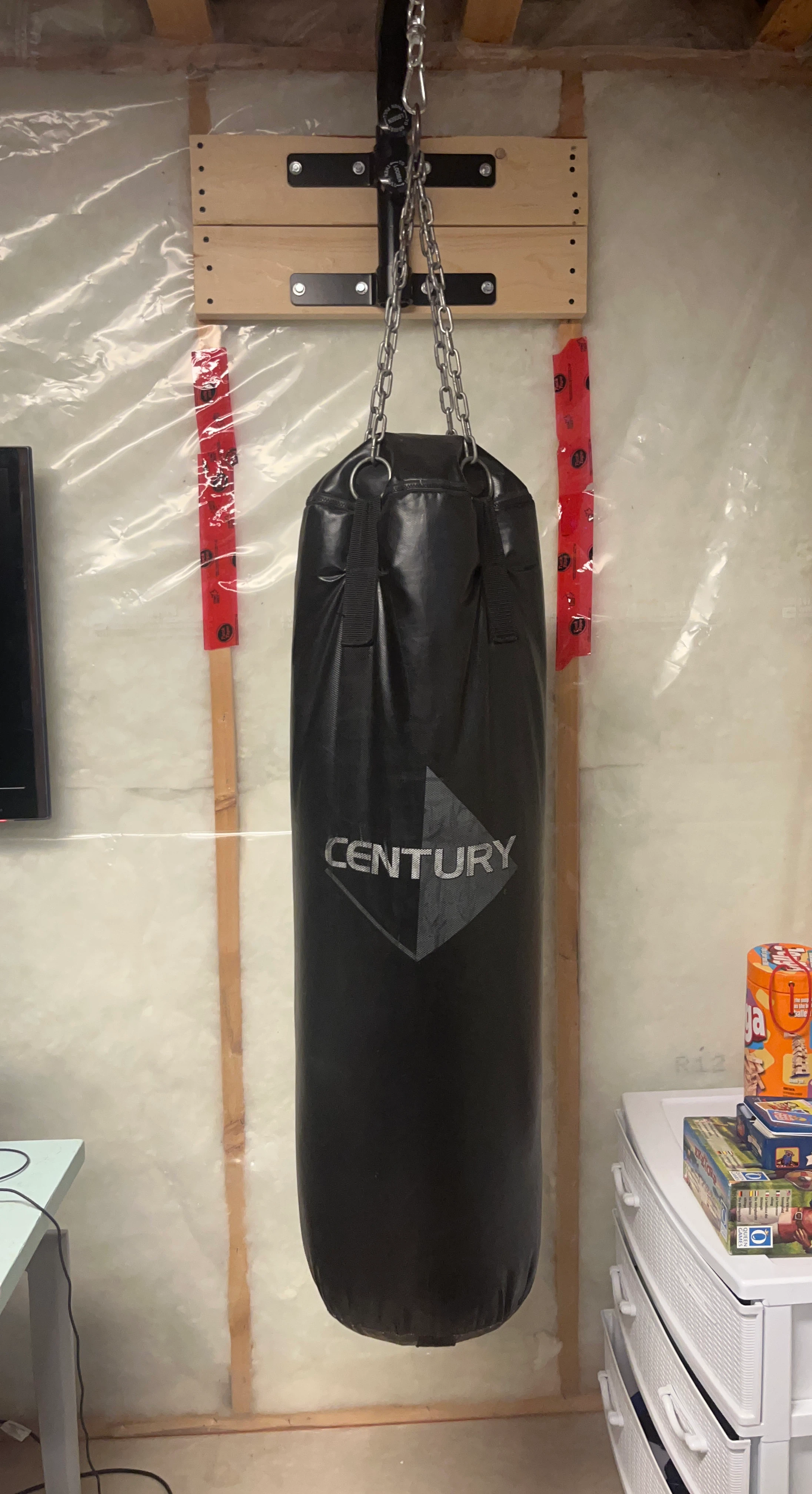 Century Punching Bag