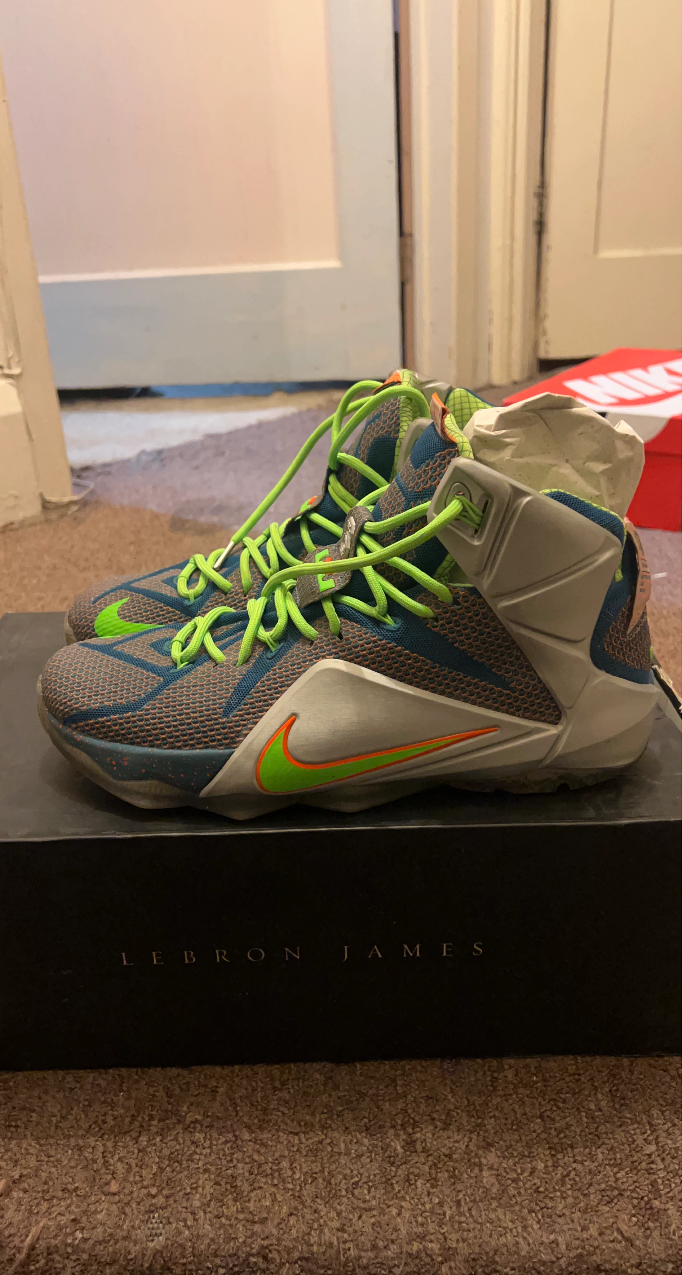 Nike Lebron 12 Sneakers