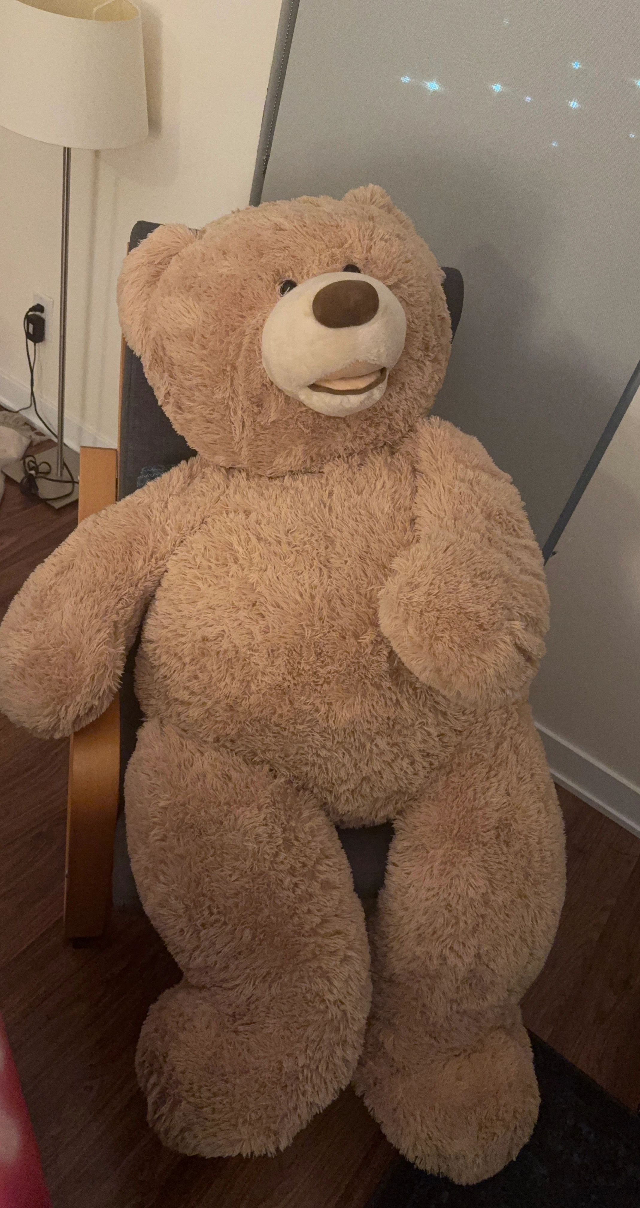Large plush teddy bear