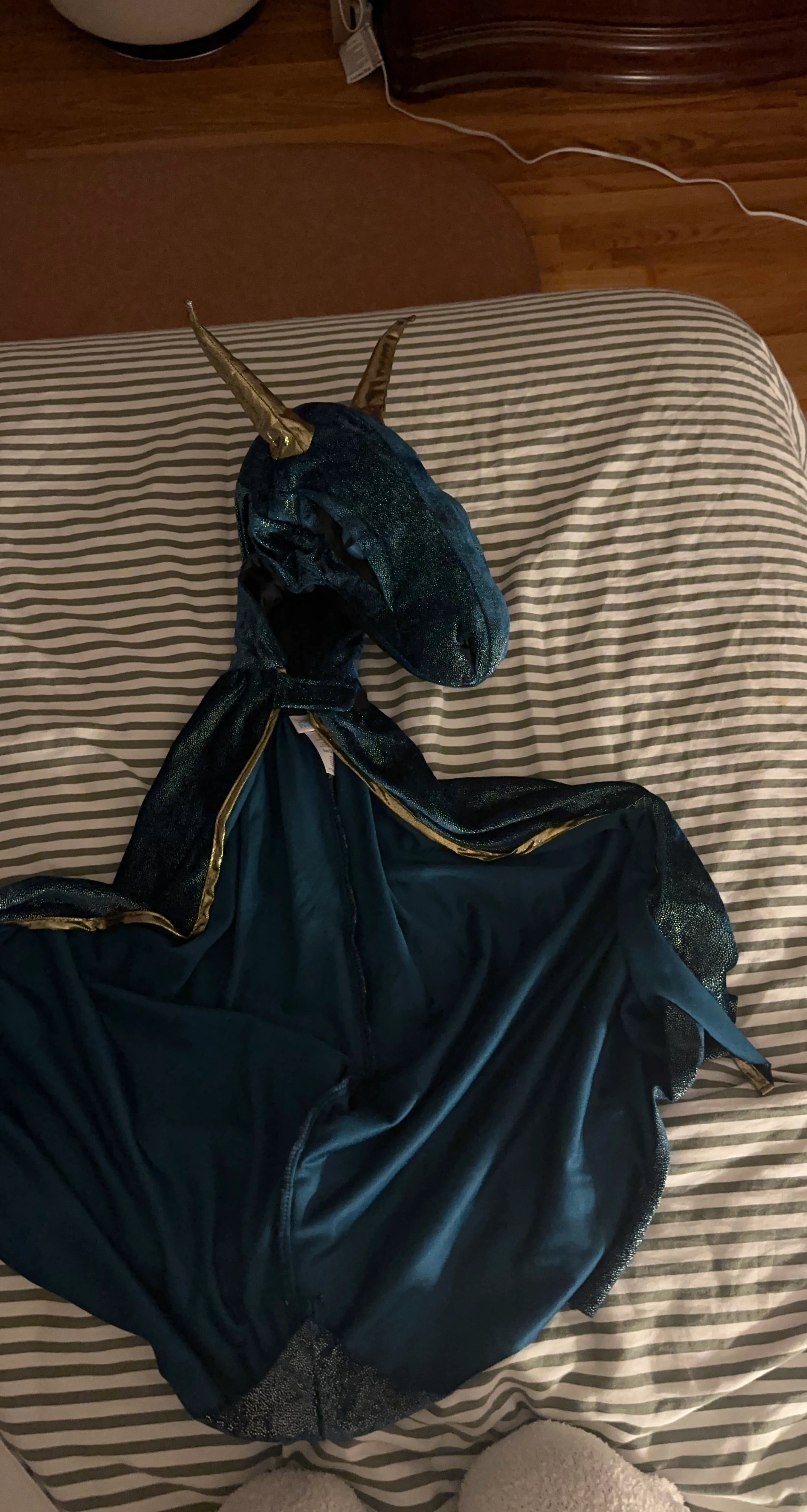 Dragon Costume Cape